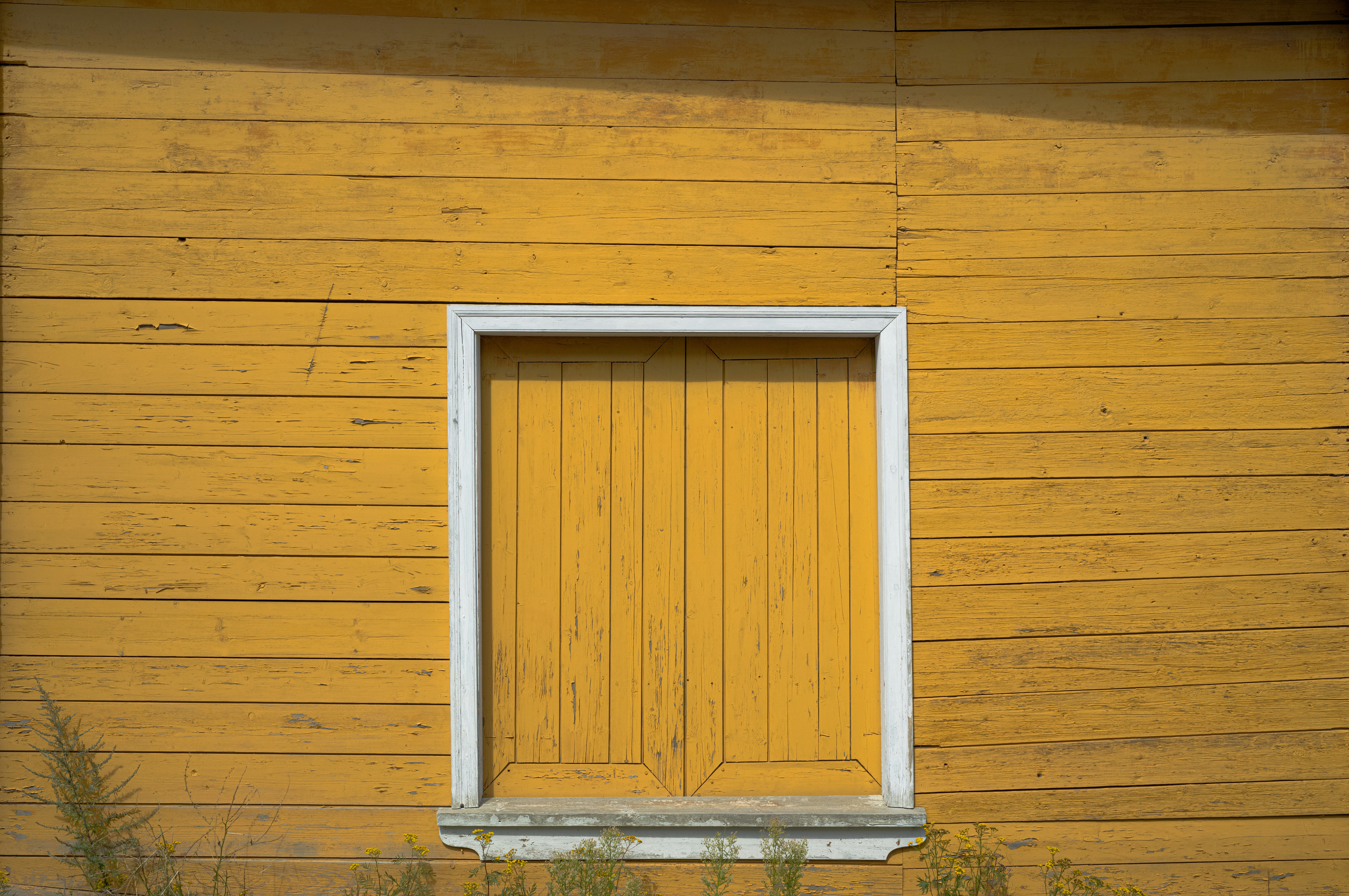 Photo by framethestreets