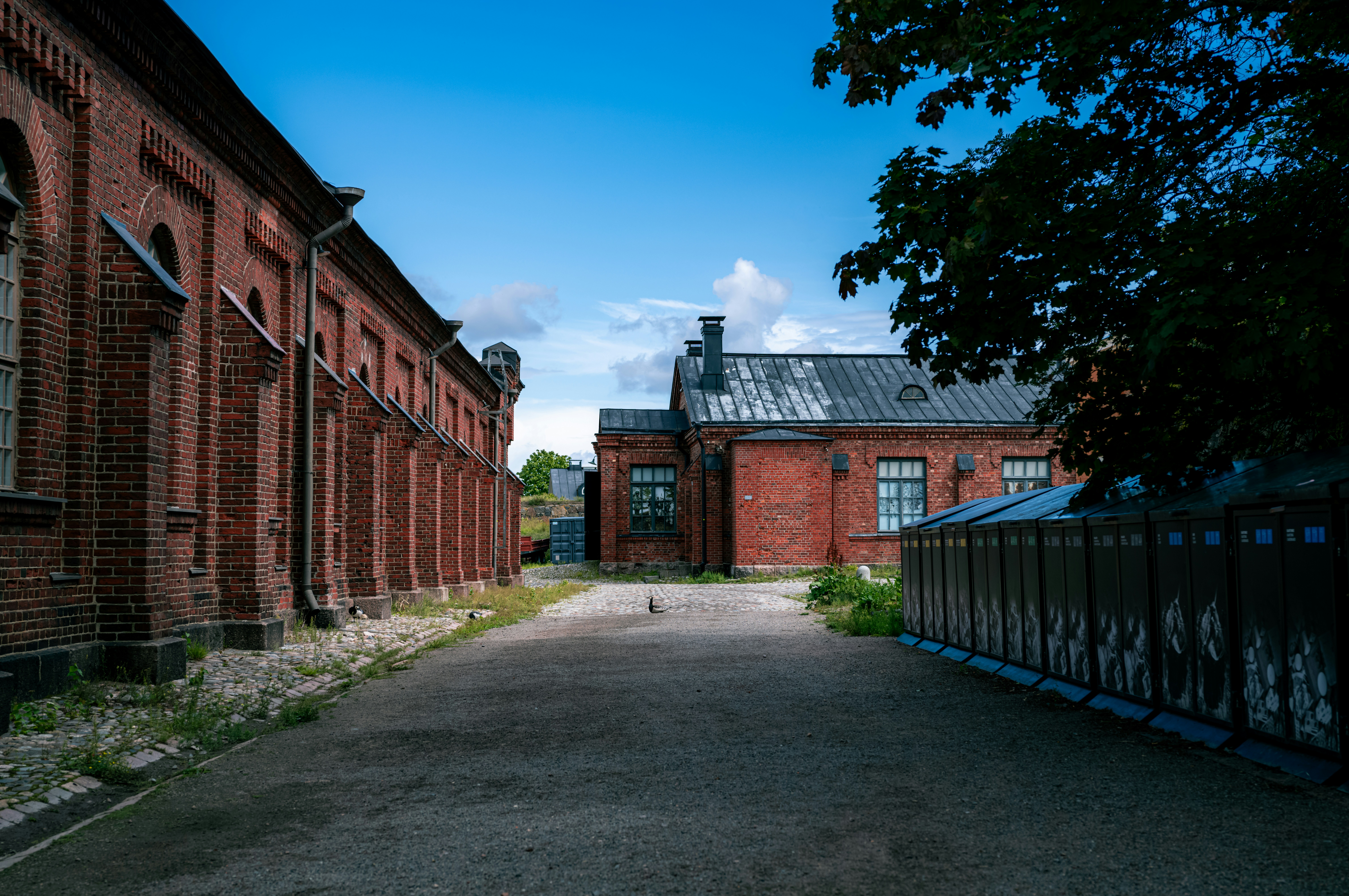 Photo by framethestreets