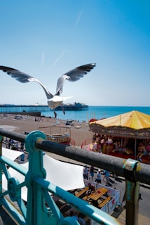 A seagull flying over a beach with a pier in the background