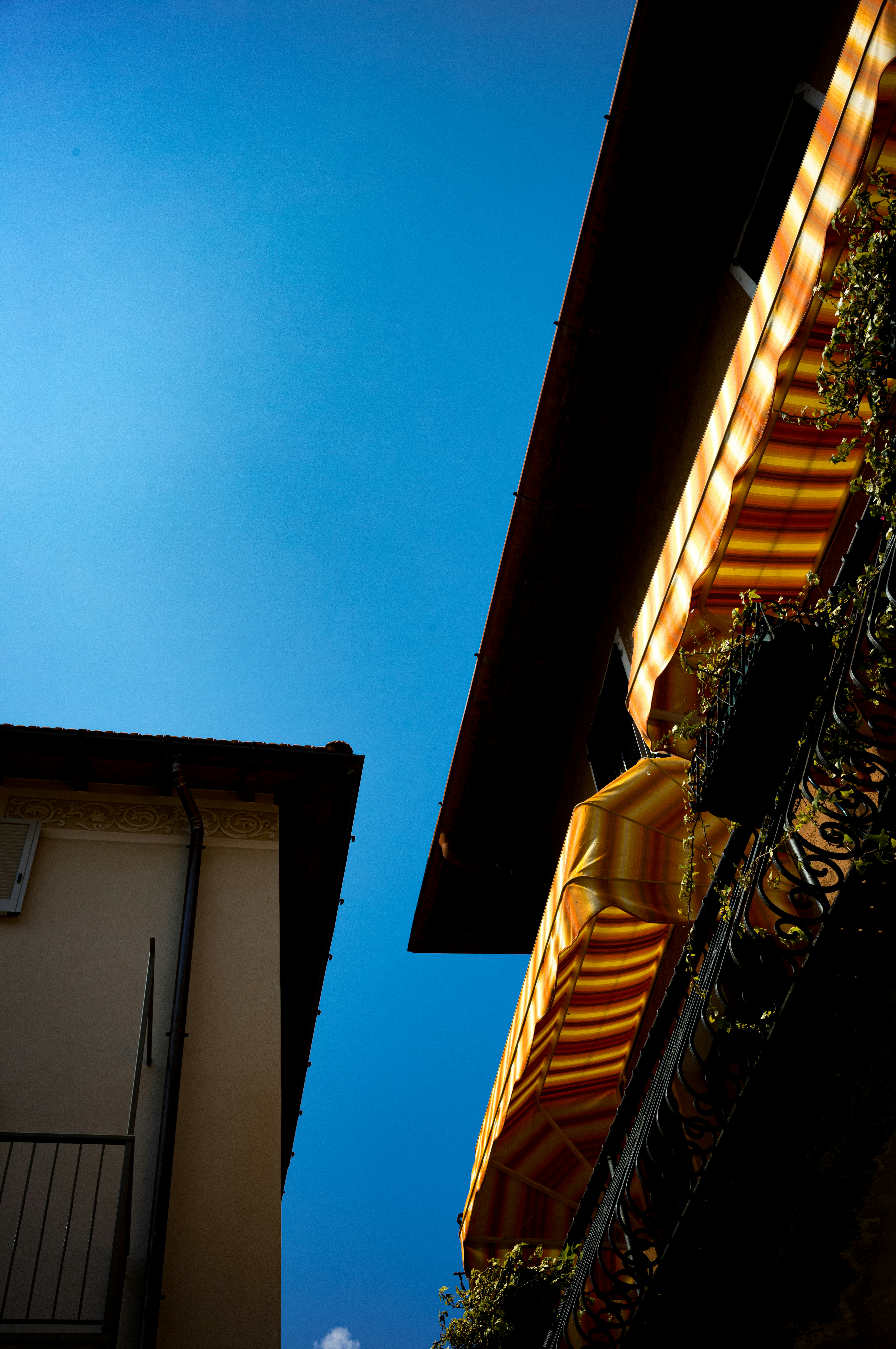 Photo by framethestreets