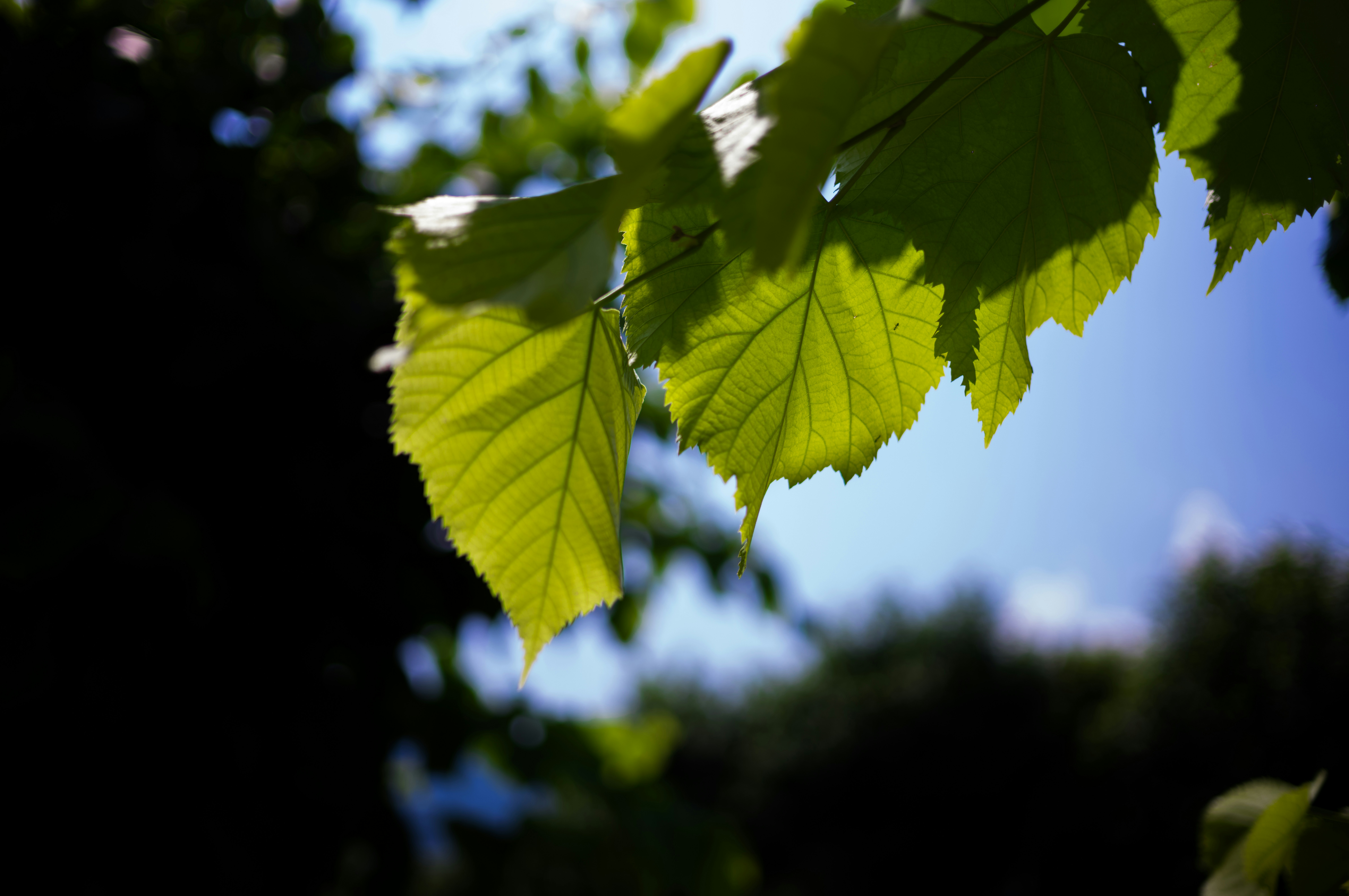 Photo by framethestreets