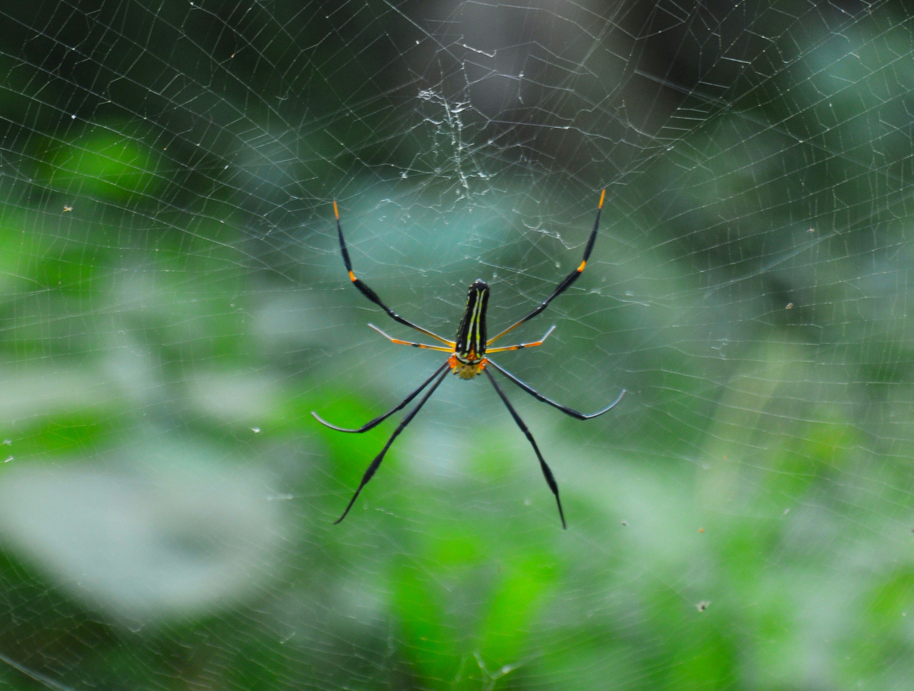 Photo by marcell_jpeg