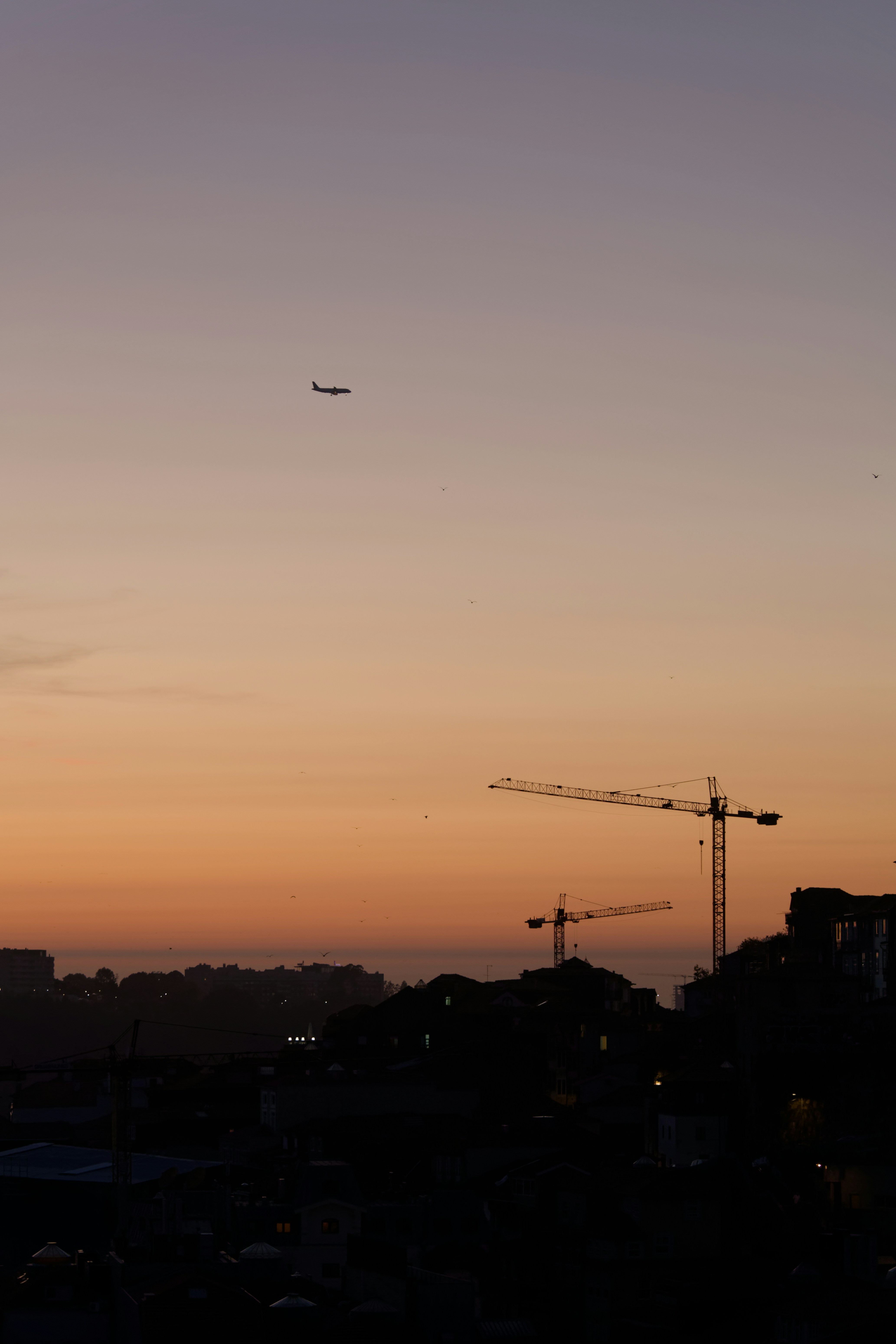 Photo by sergiy_kmet