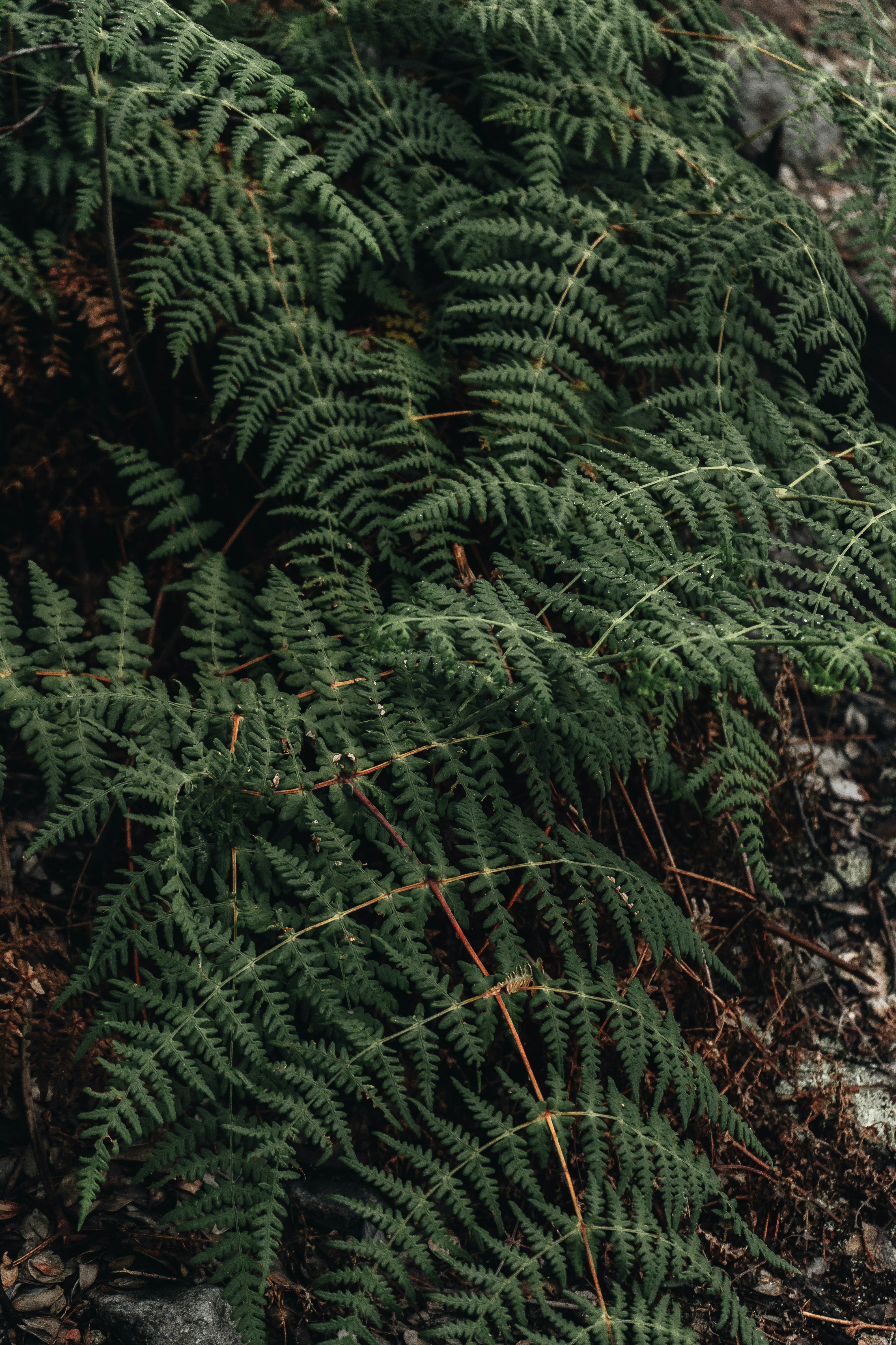 Photo by zainproduction