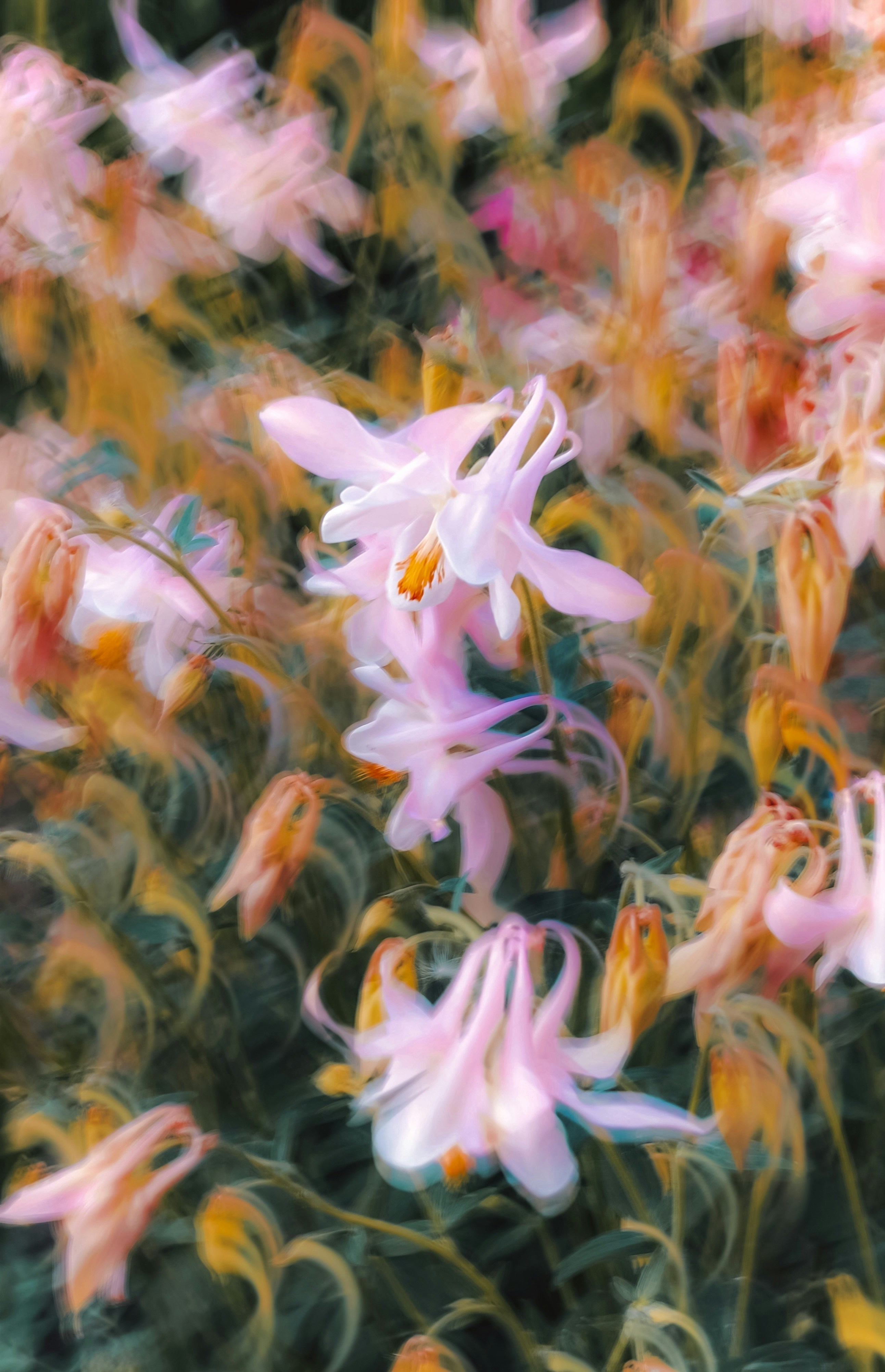 Photo by eugene_golovesov