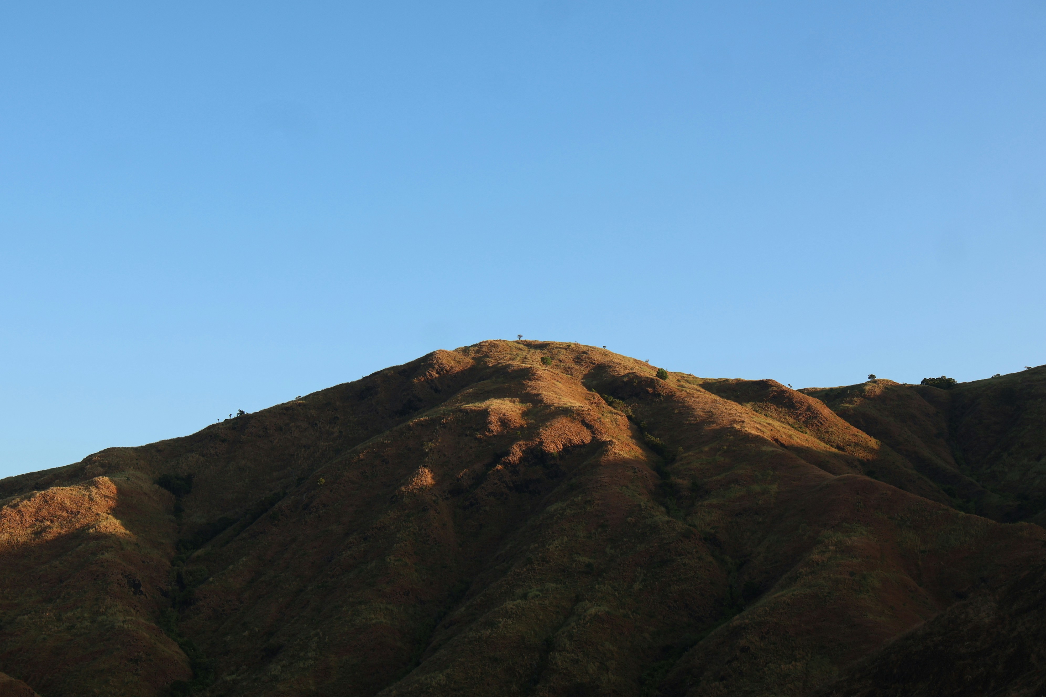 A person flying a kite high in the sky