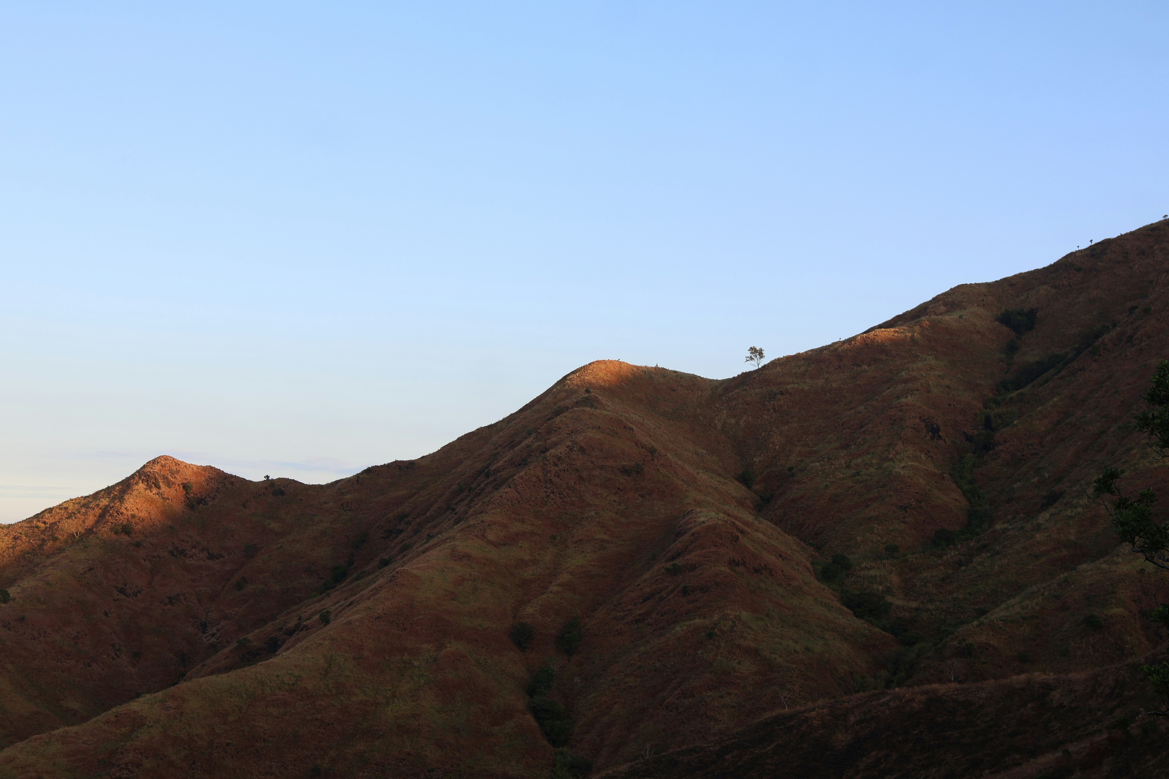 Photo by adrianpaulety