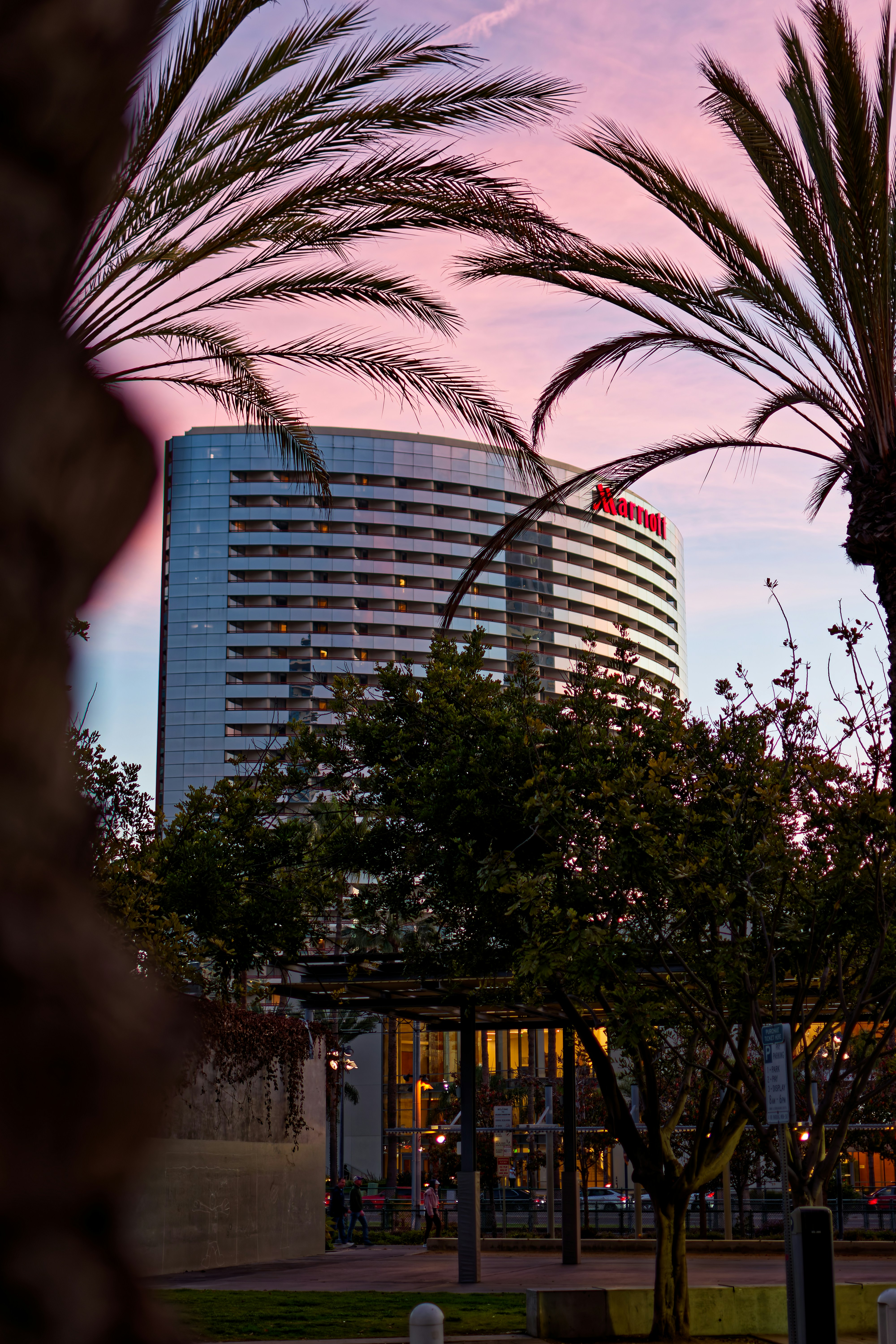 San Diego – Safety, Health & Local Etiquette