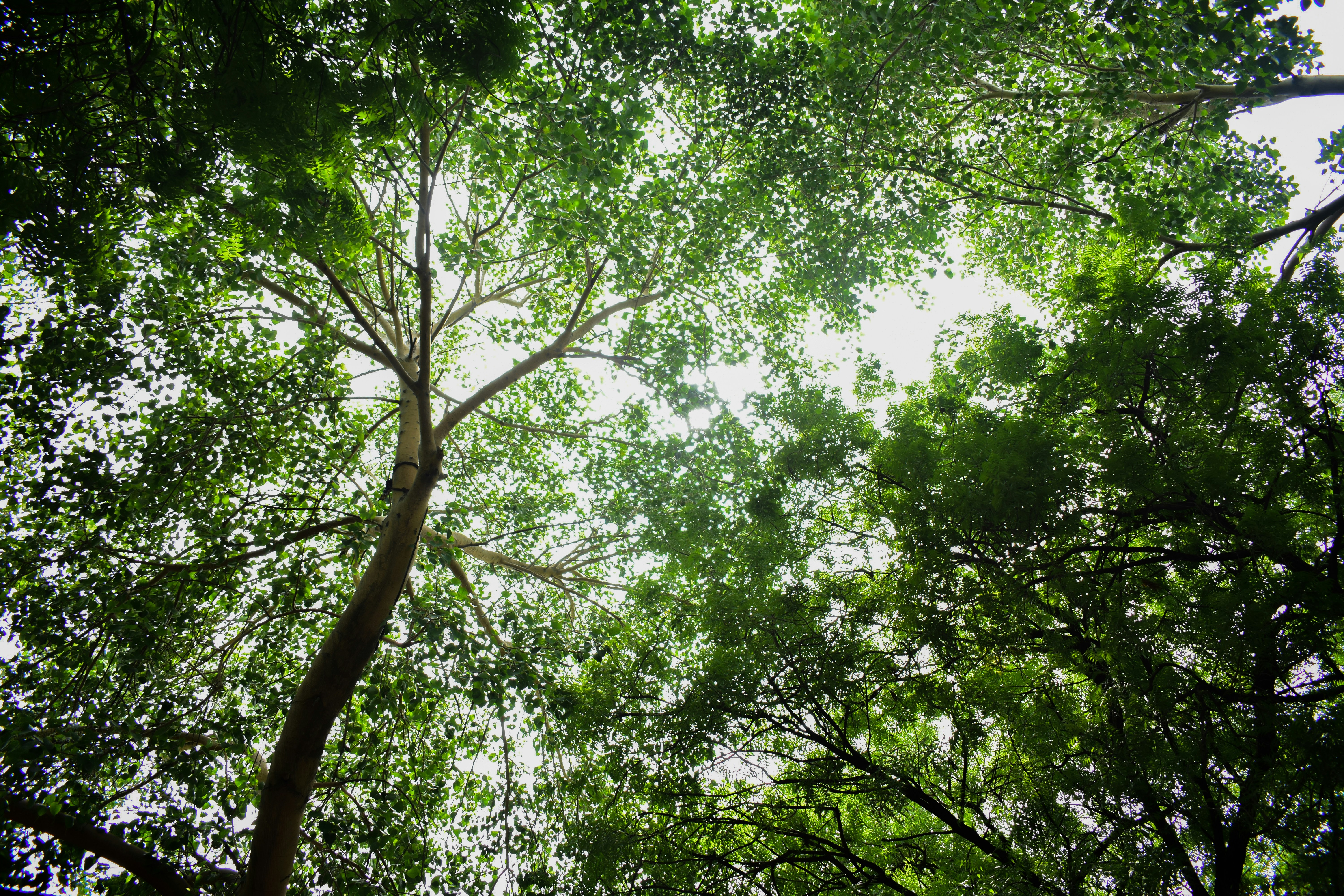 Photo by neelakshi_singh_