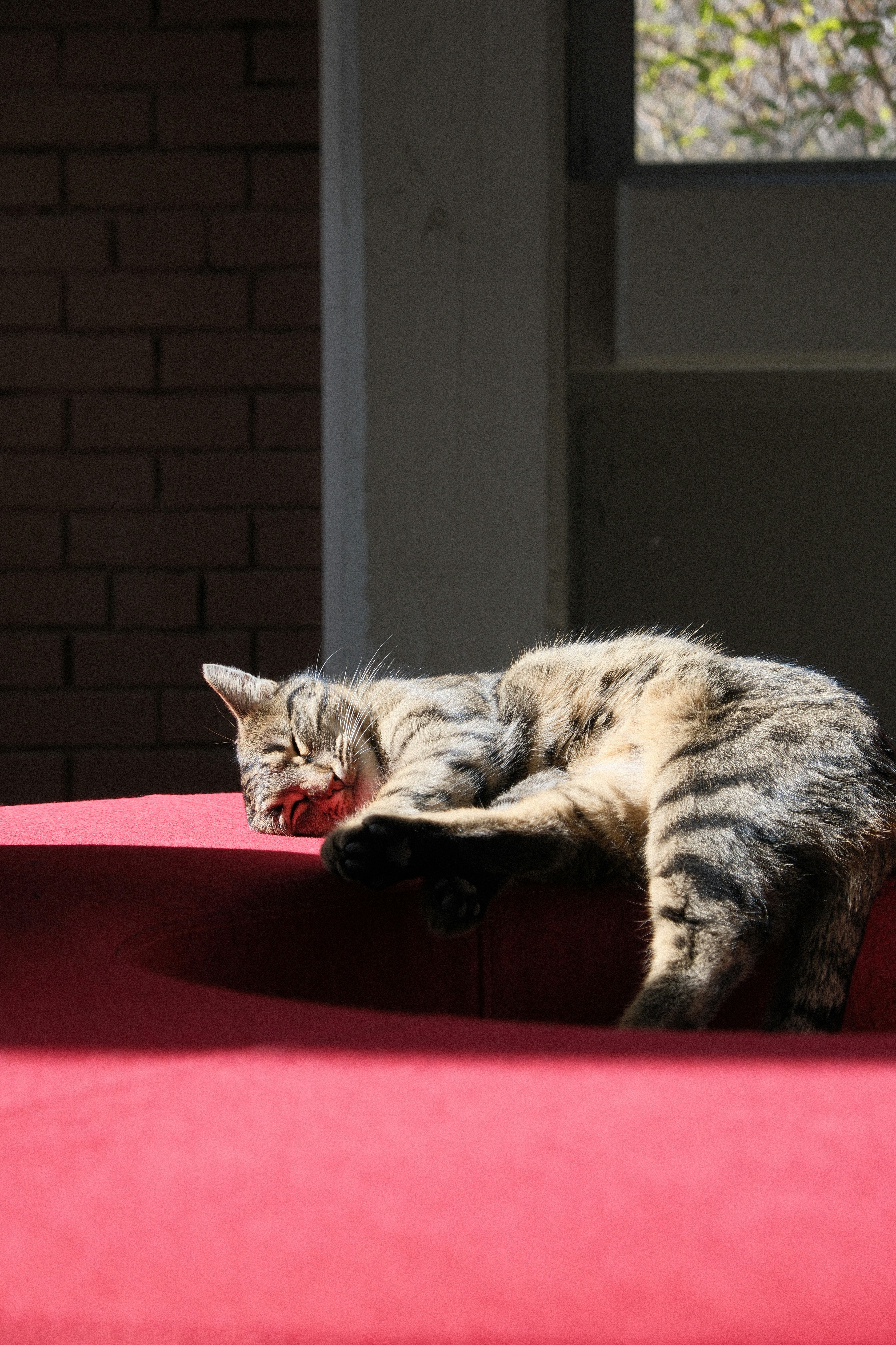 Photo by ismailefetop