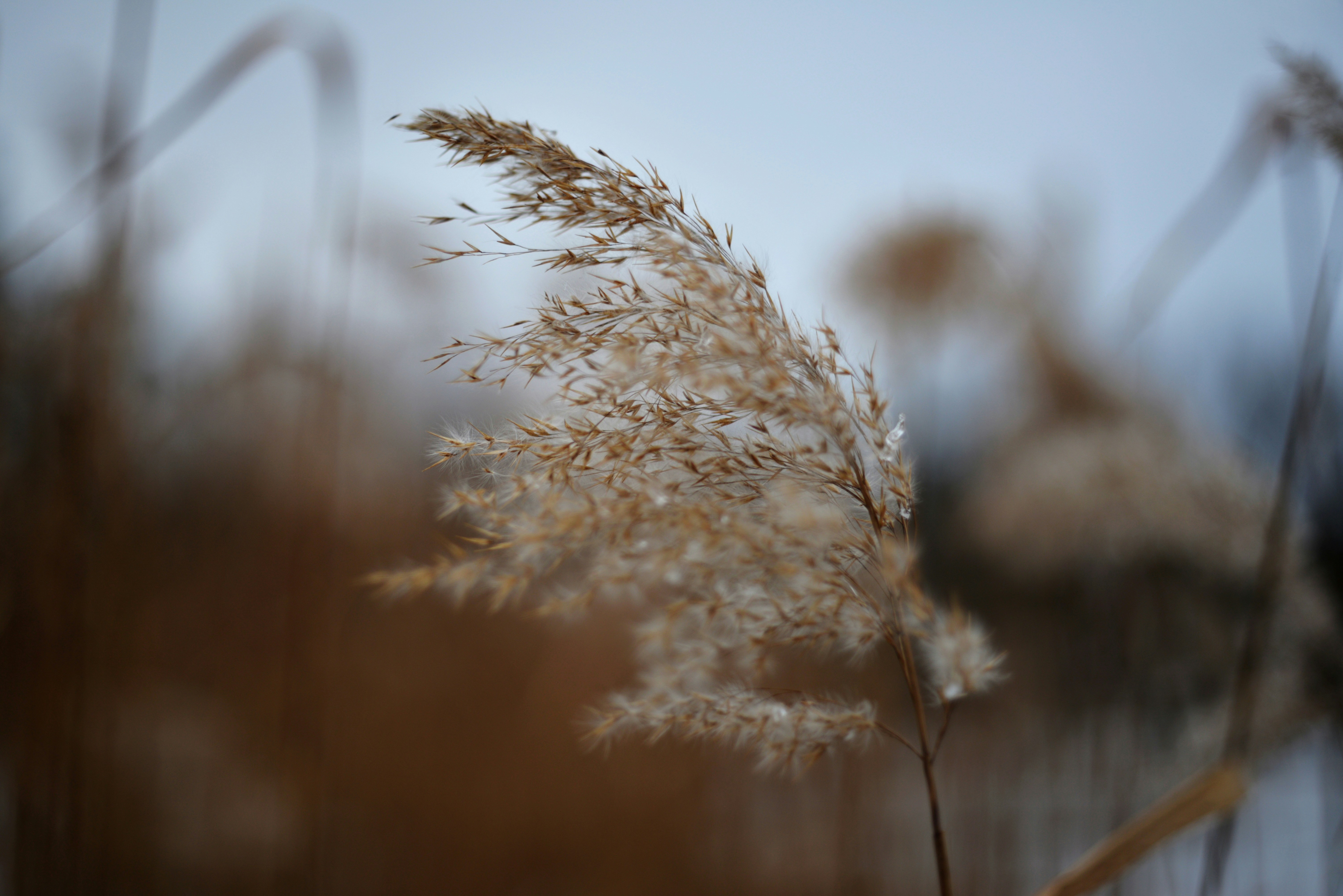 Photo by cherstve_pechivo