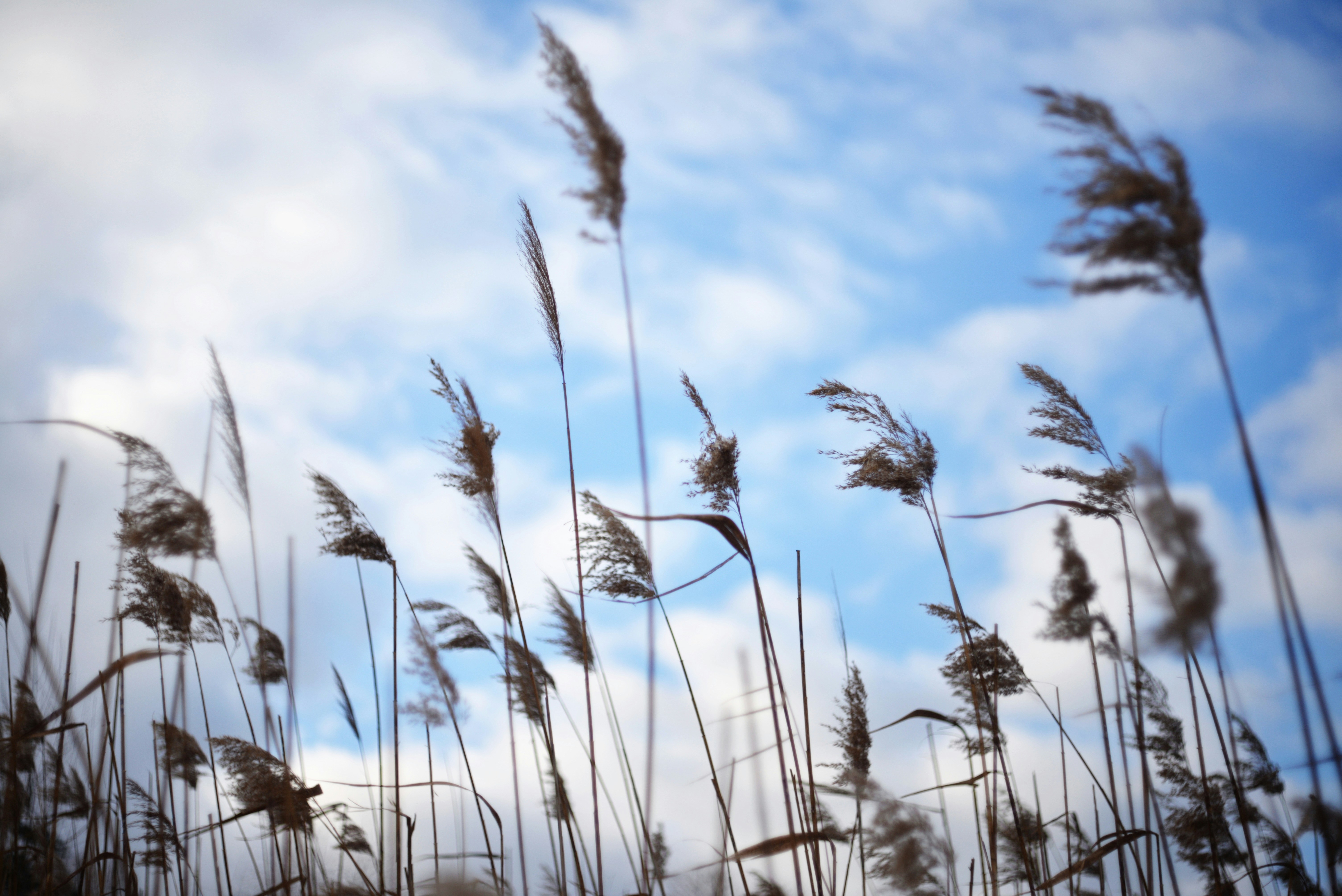 Photo by cherstve_pechivo