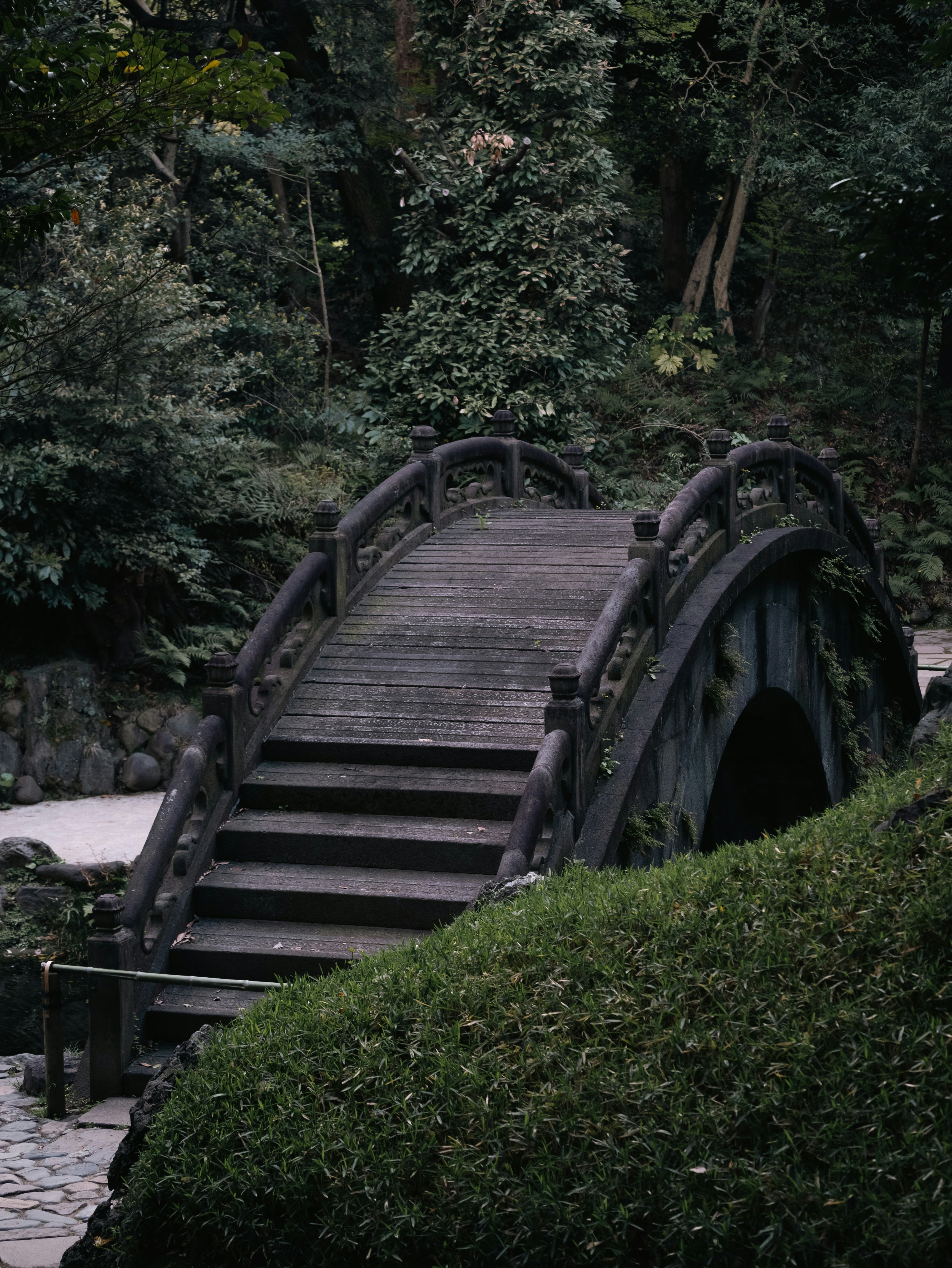 Un pont en bois au-dessus d’un petit ruisseau dans une forêt
