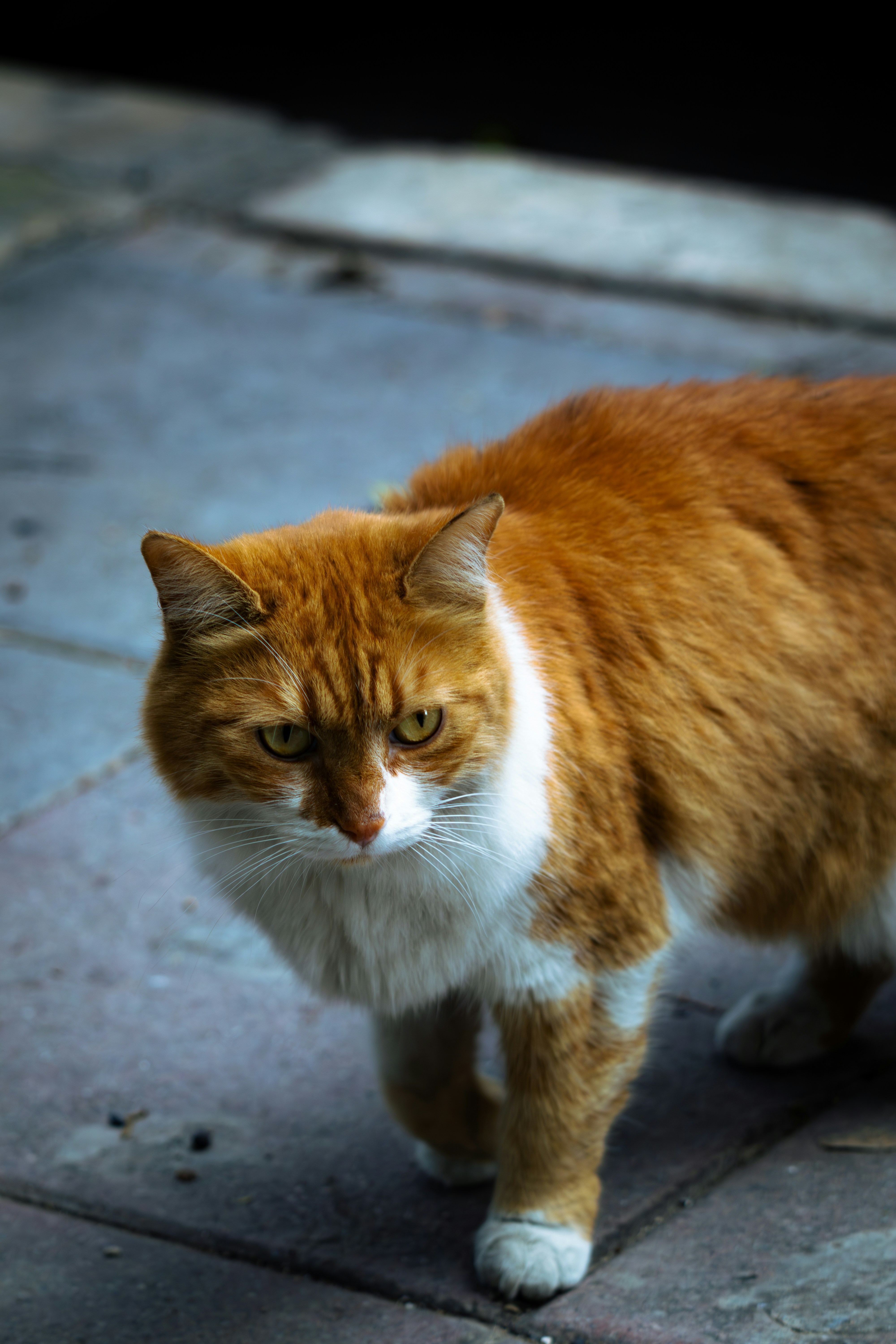 Photo by emrecandora