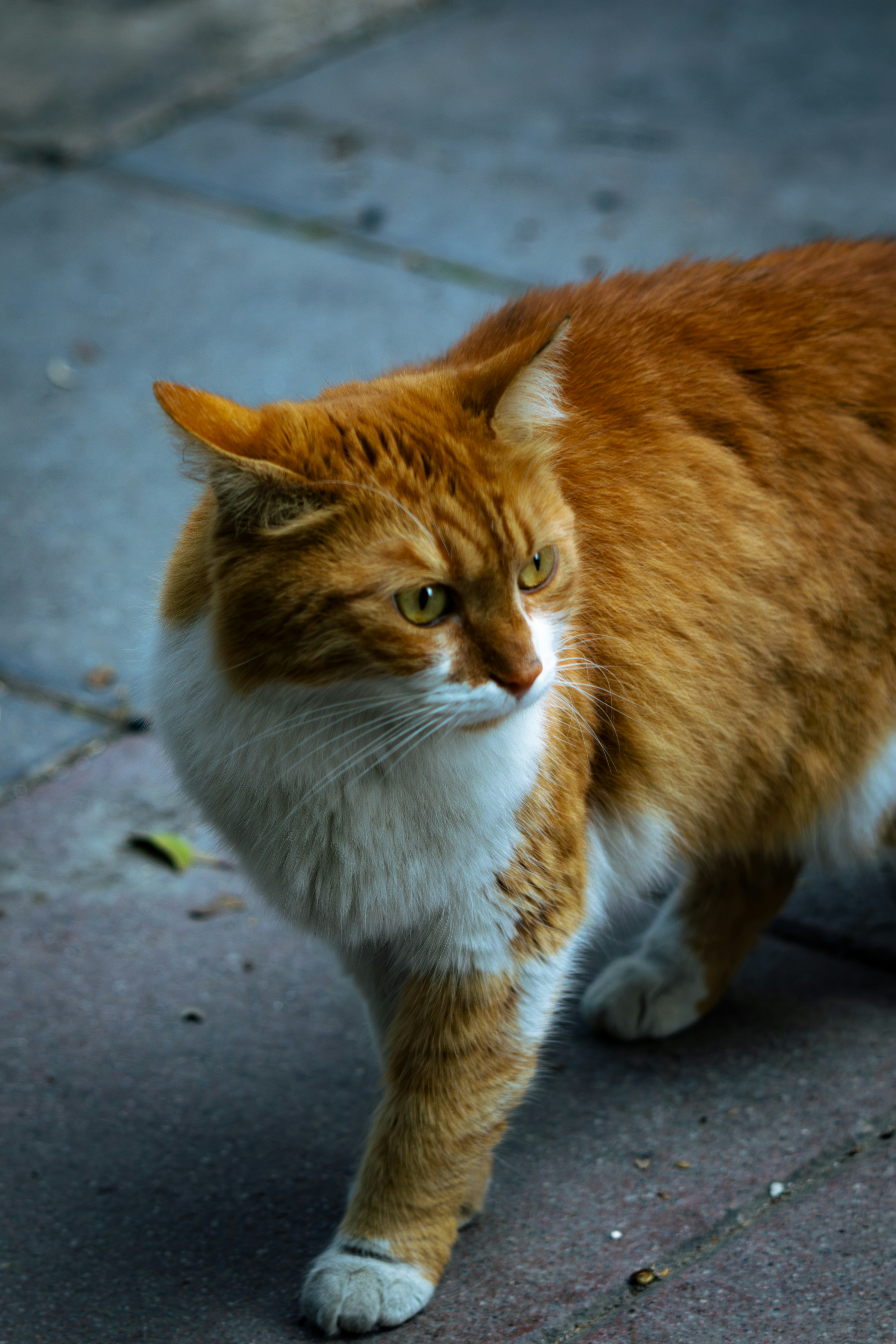 Photo by emrecandora