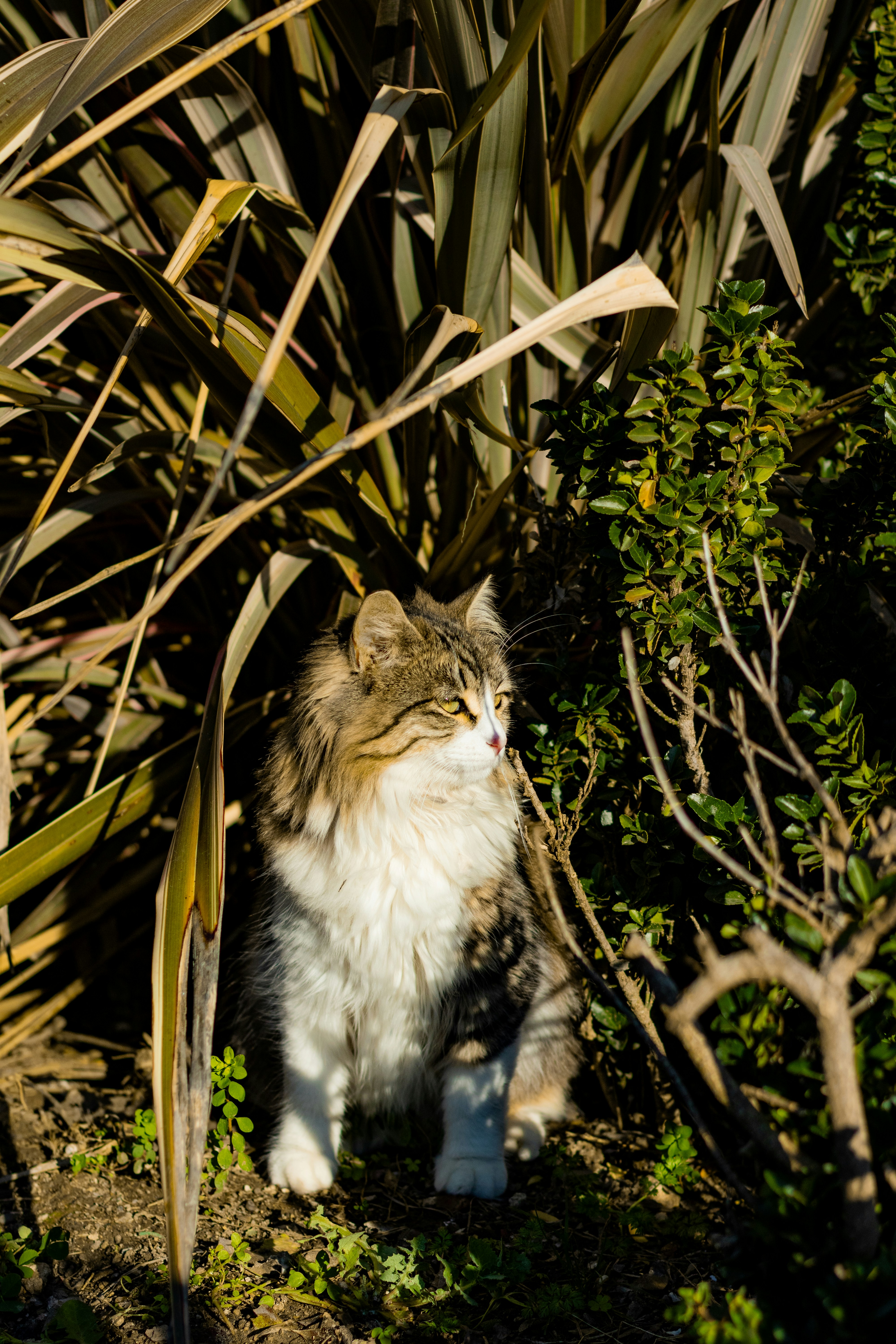 Photo by emrecandora