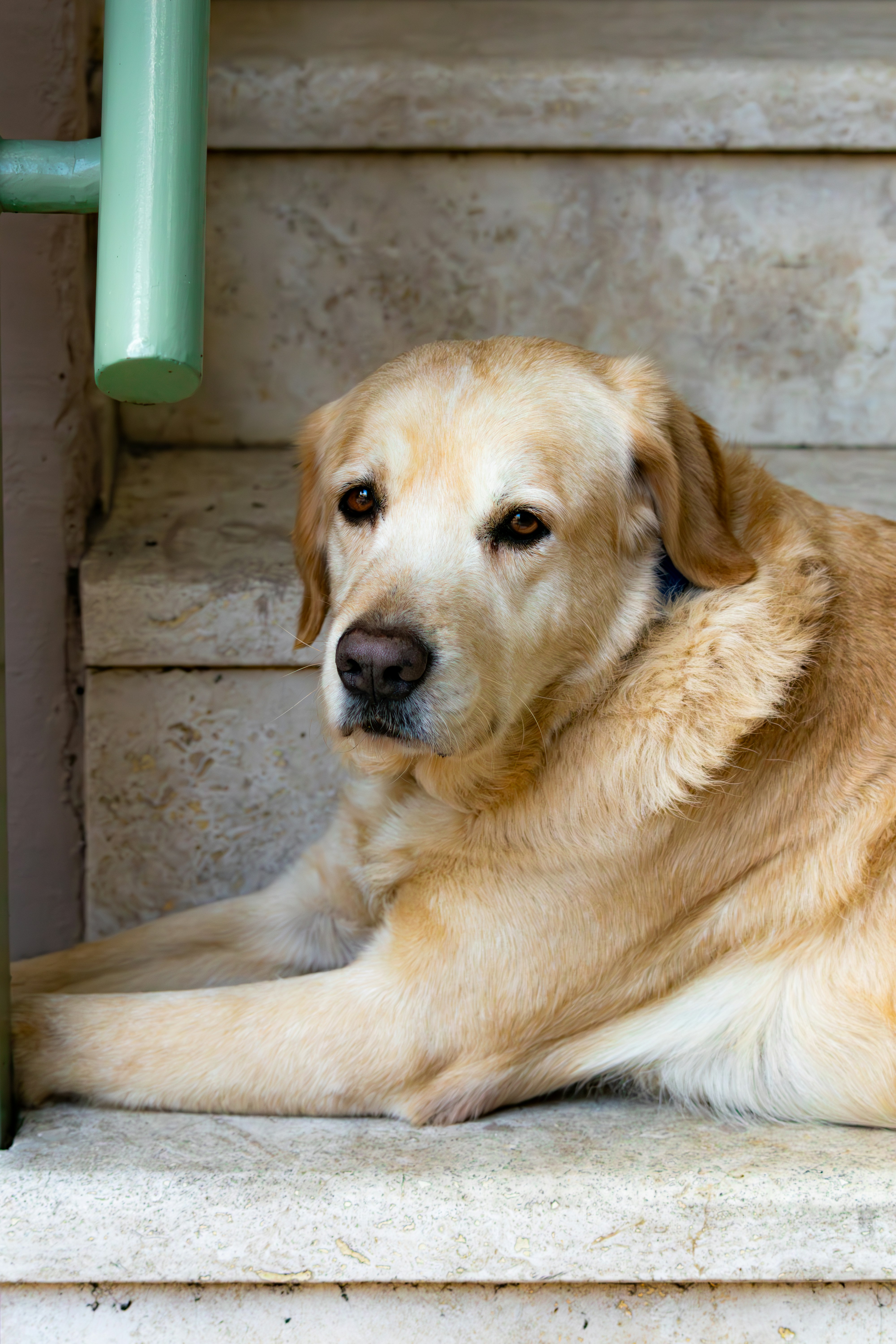 Photo by emrecandora