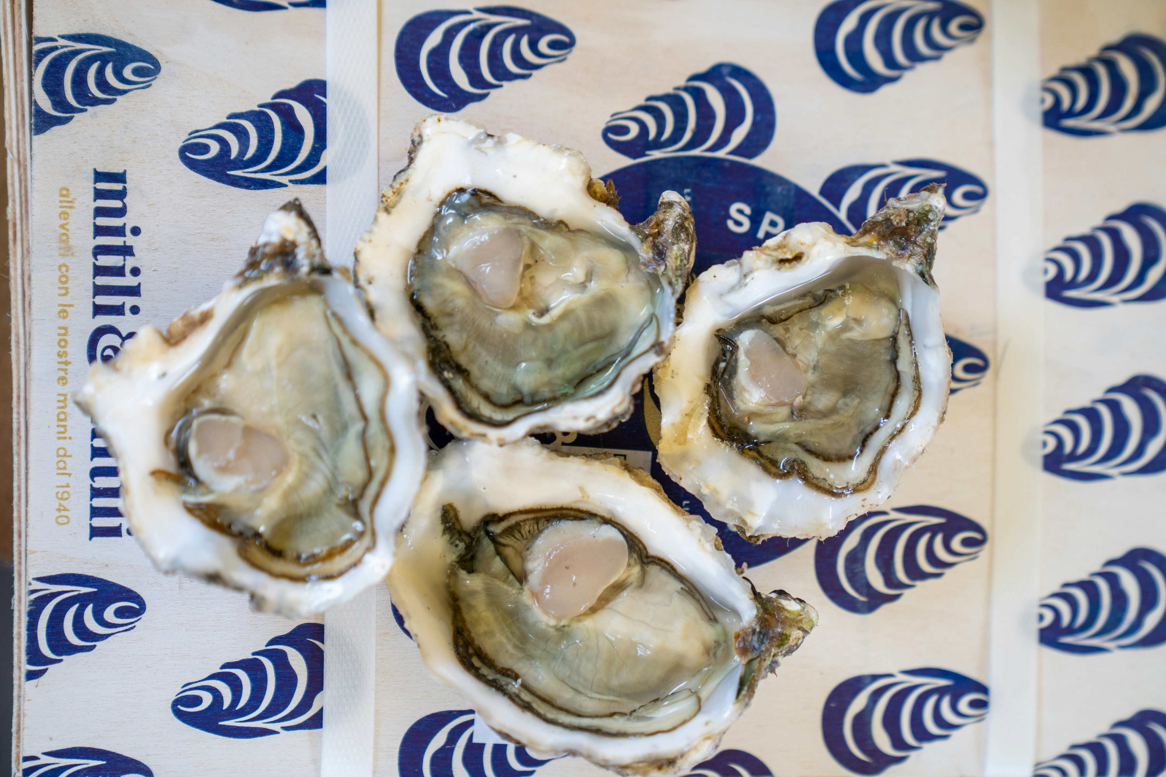 Photo by mitiliemitili