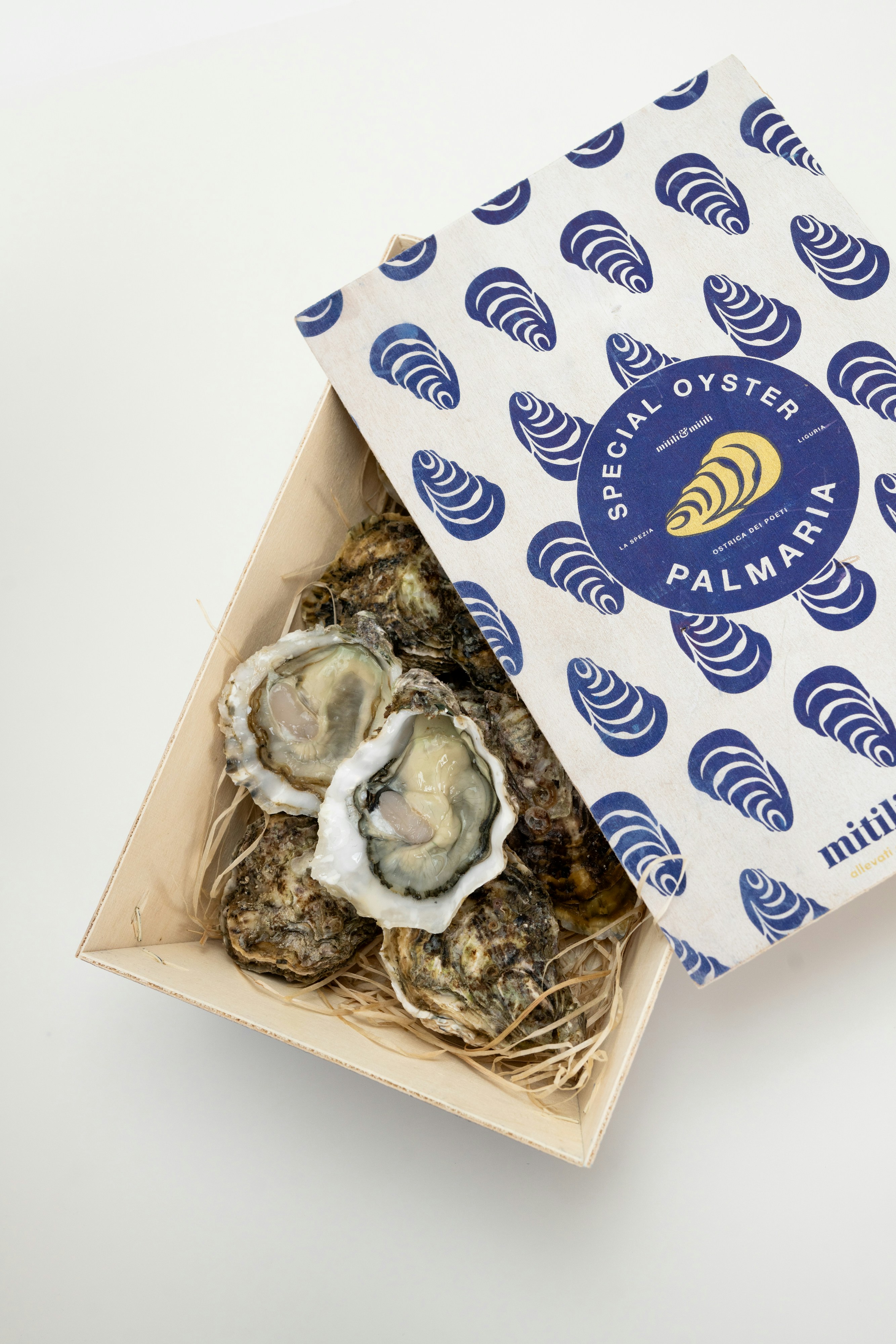 Photo by mitiliemitili