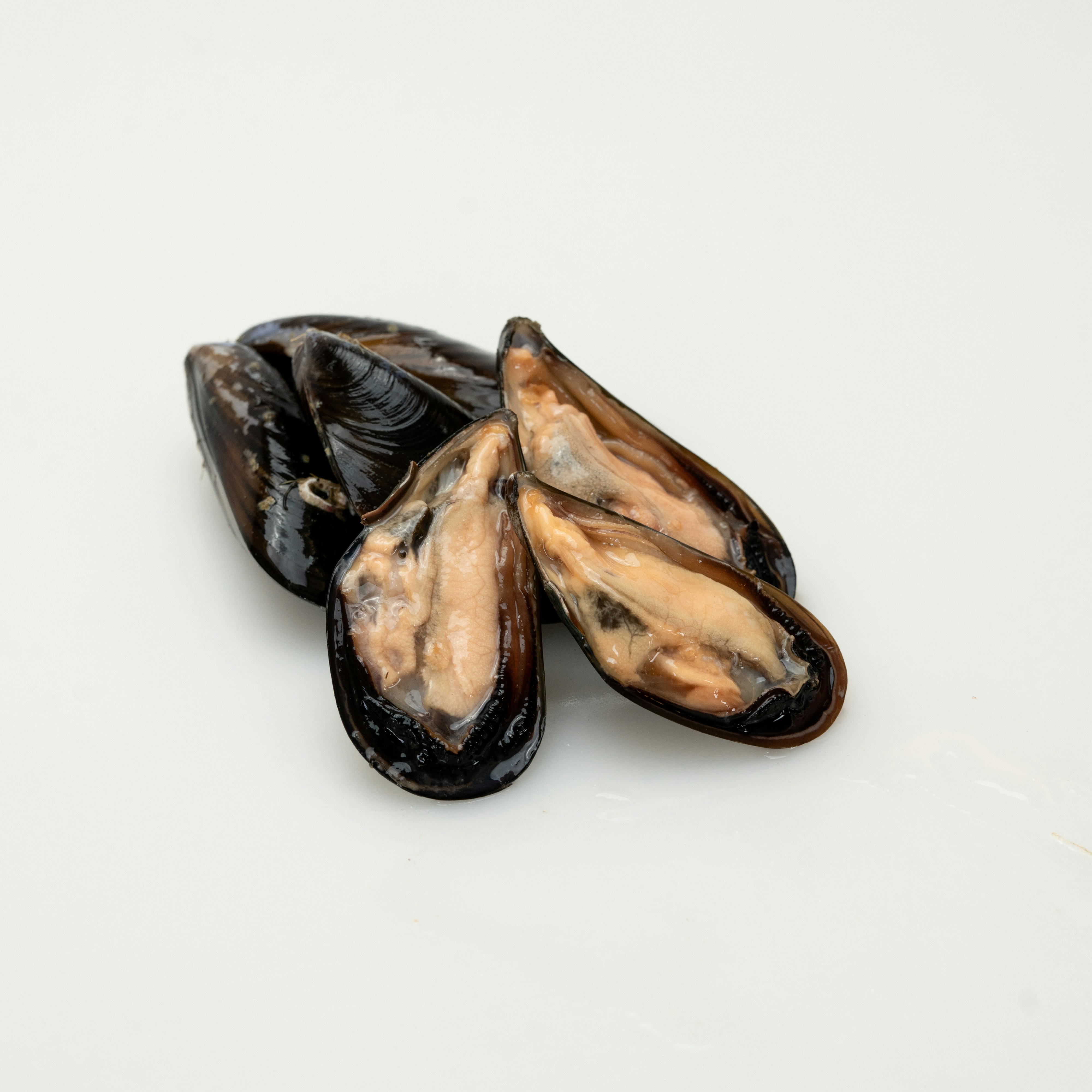 Photo by mitiliemitili