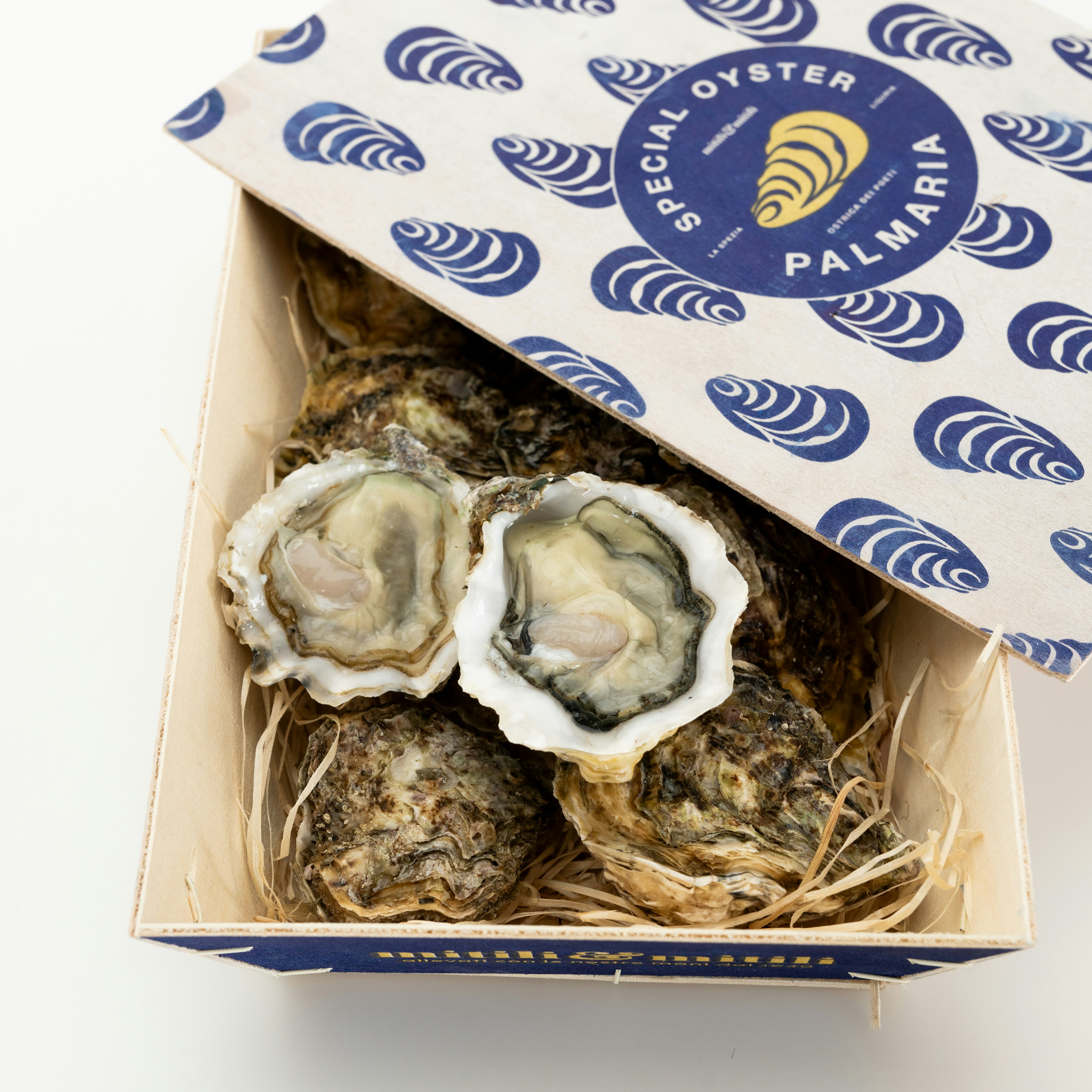 Photo by mitiliemitili