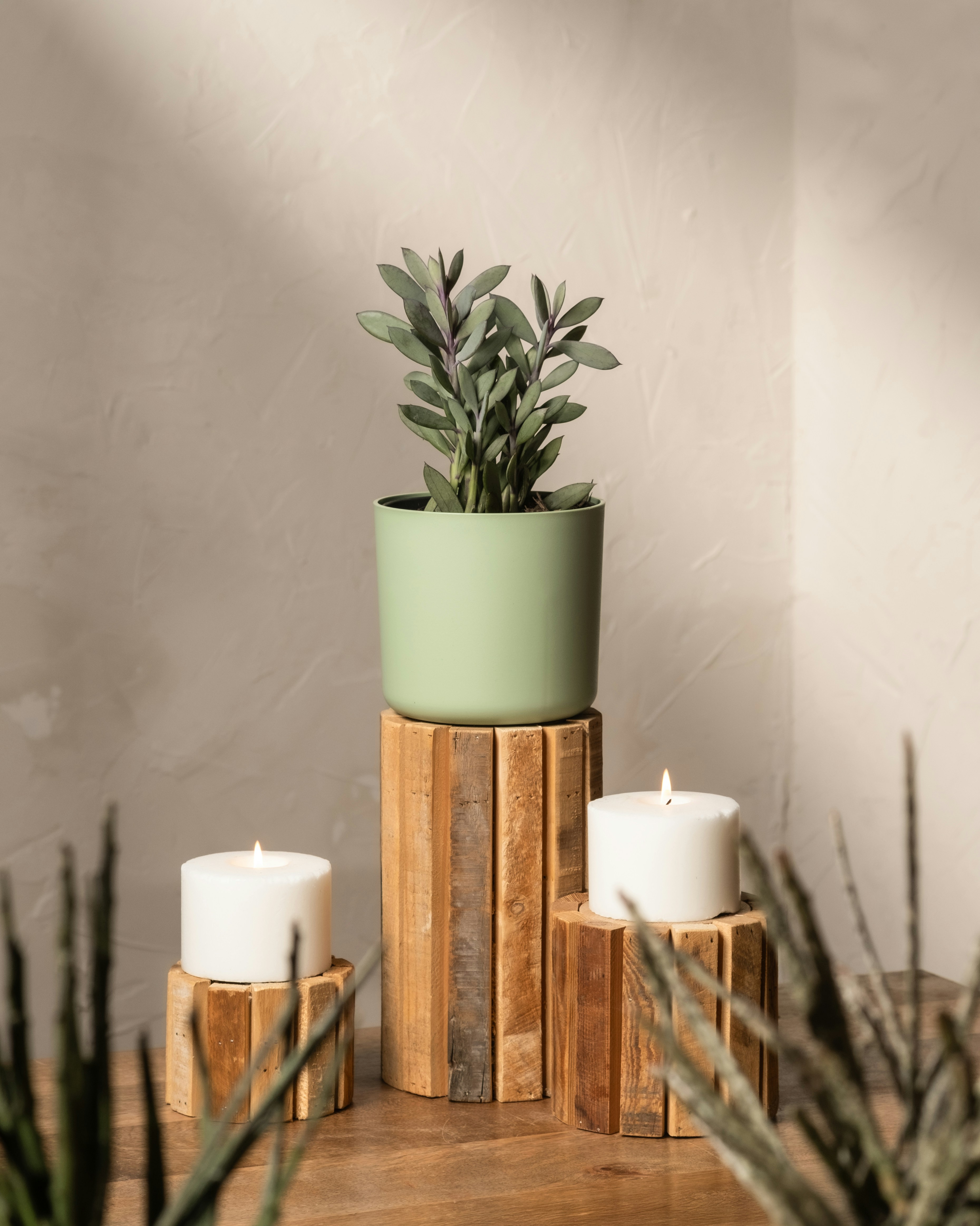 Photo by feeypflanzen