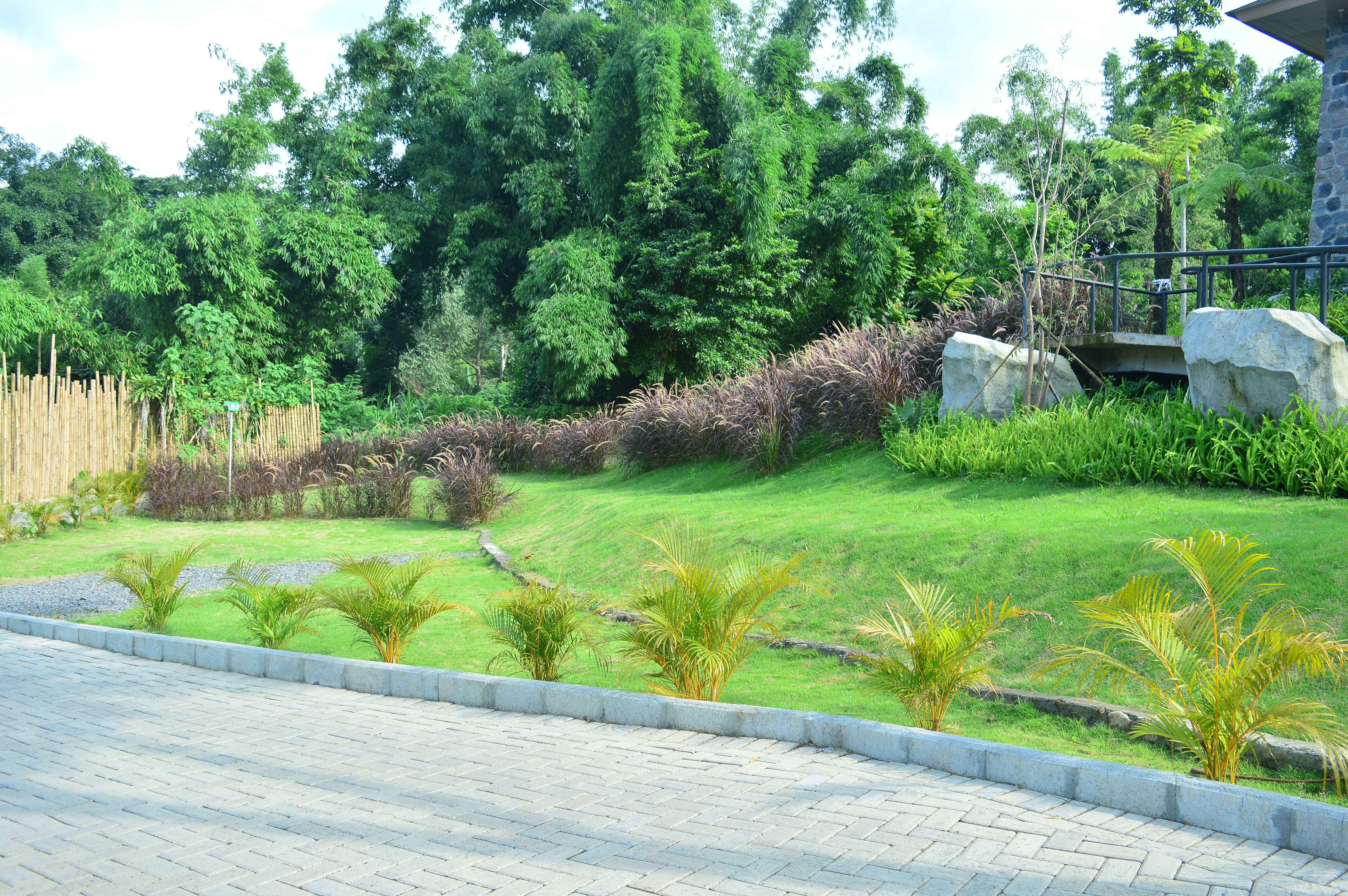 A large yard with a lot of grass and trees