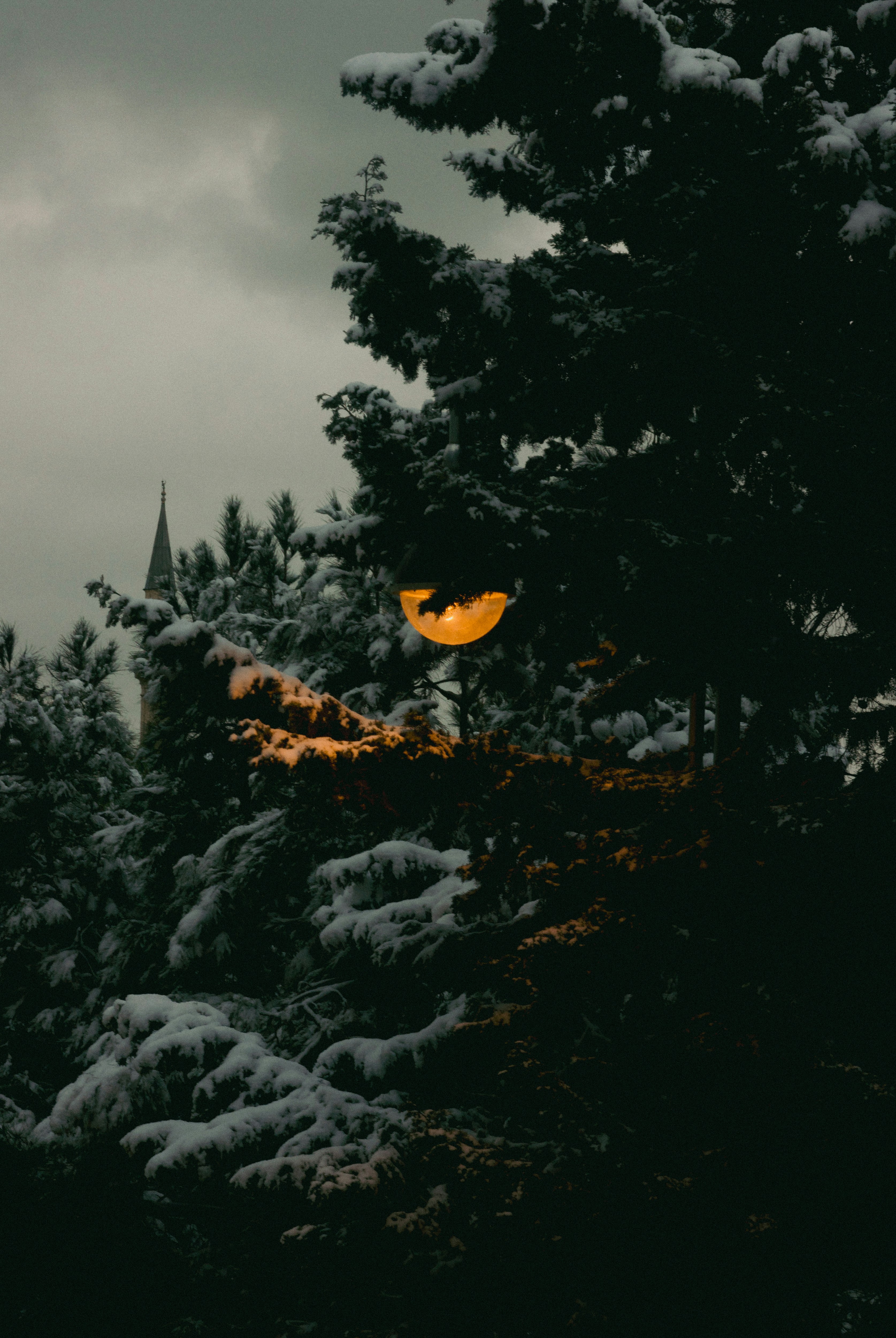 A street light in the middle of a snowy forest