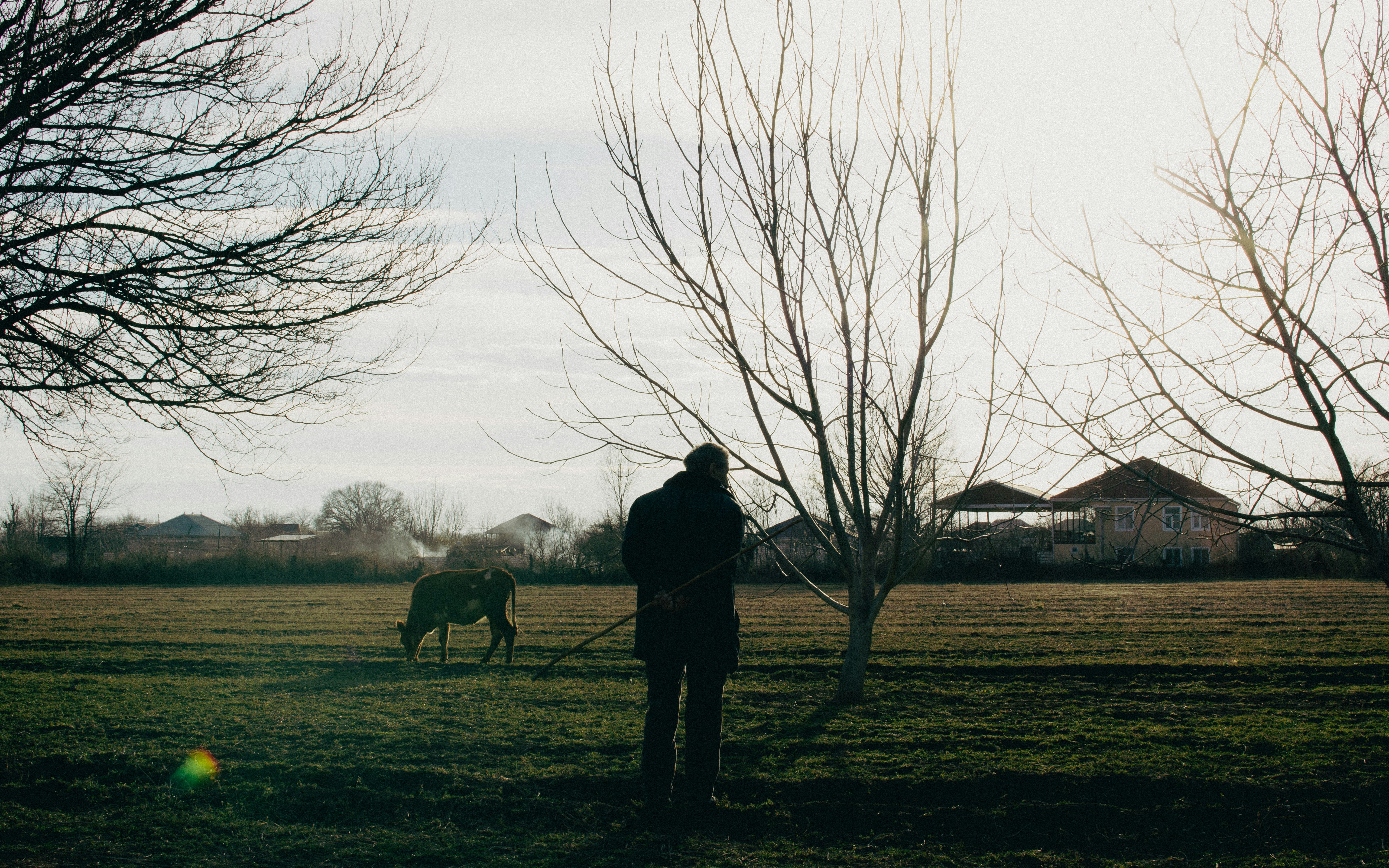 A person standing in a field with a dog