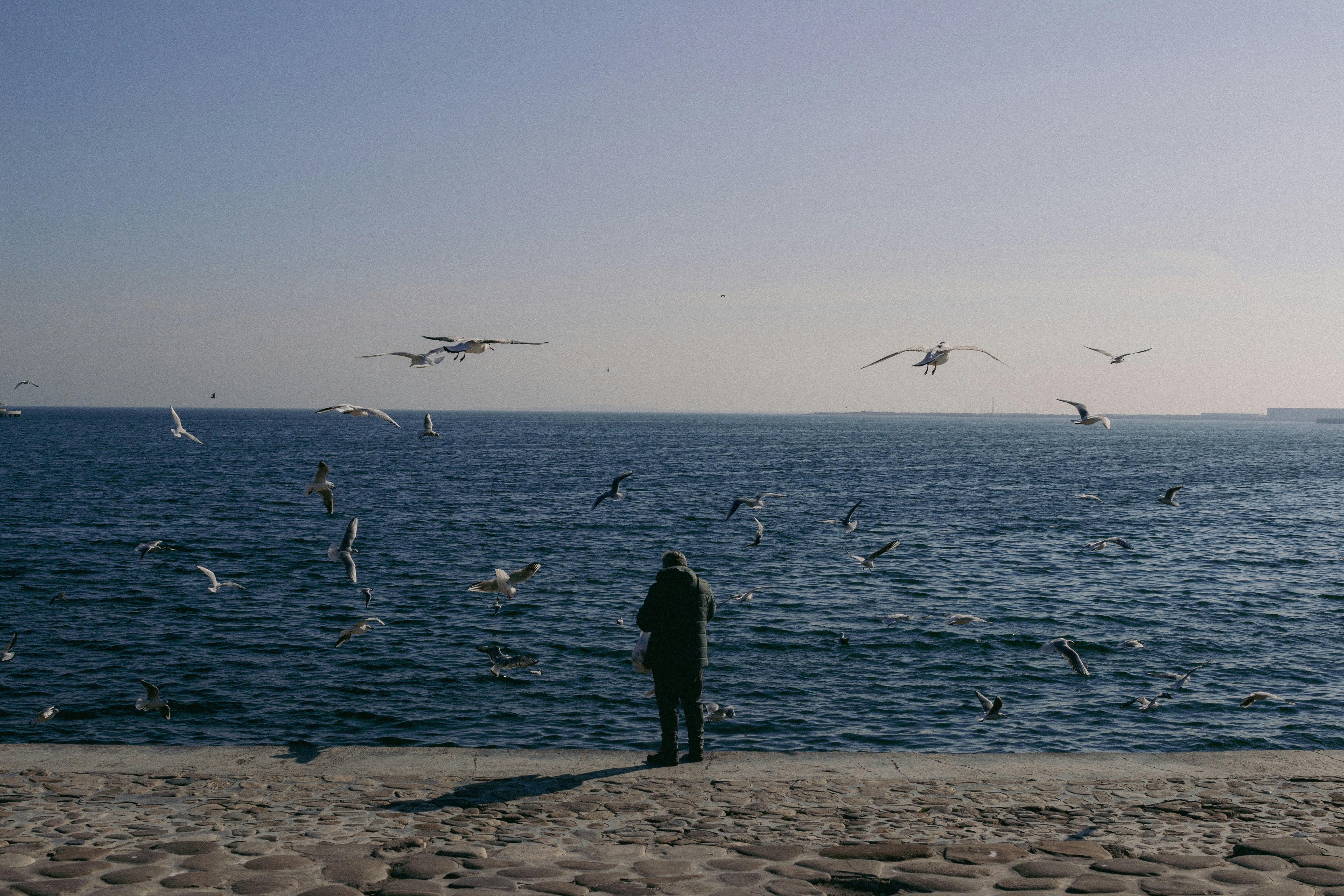 A person standing on a beach near the ocean