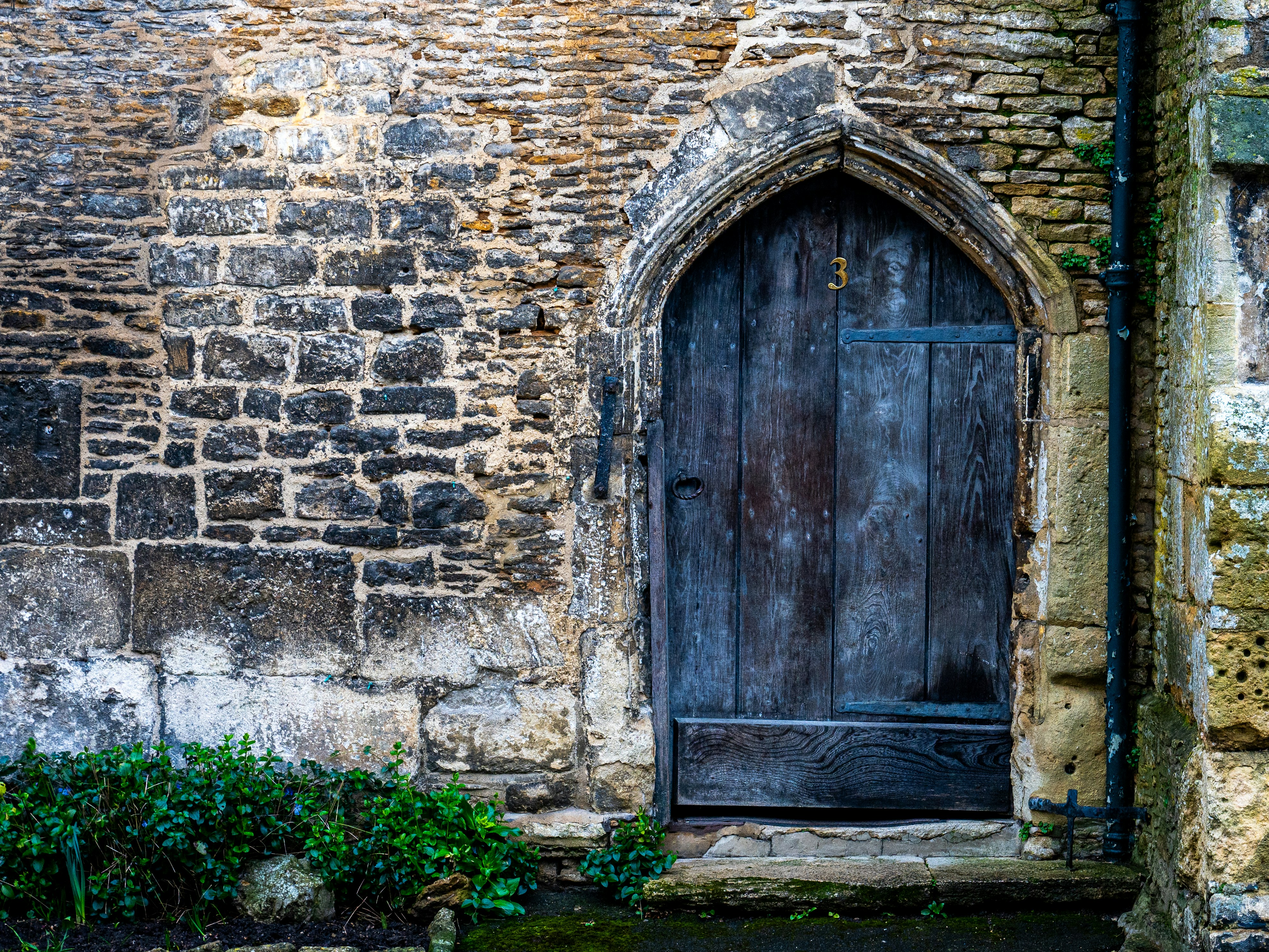 Photo by tobydagenhart