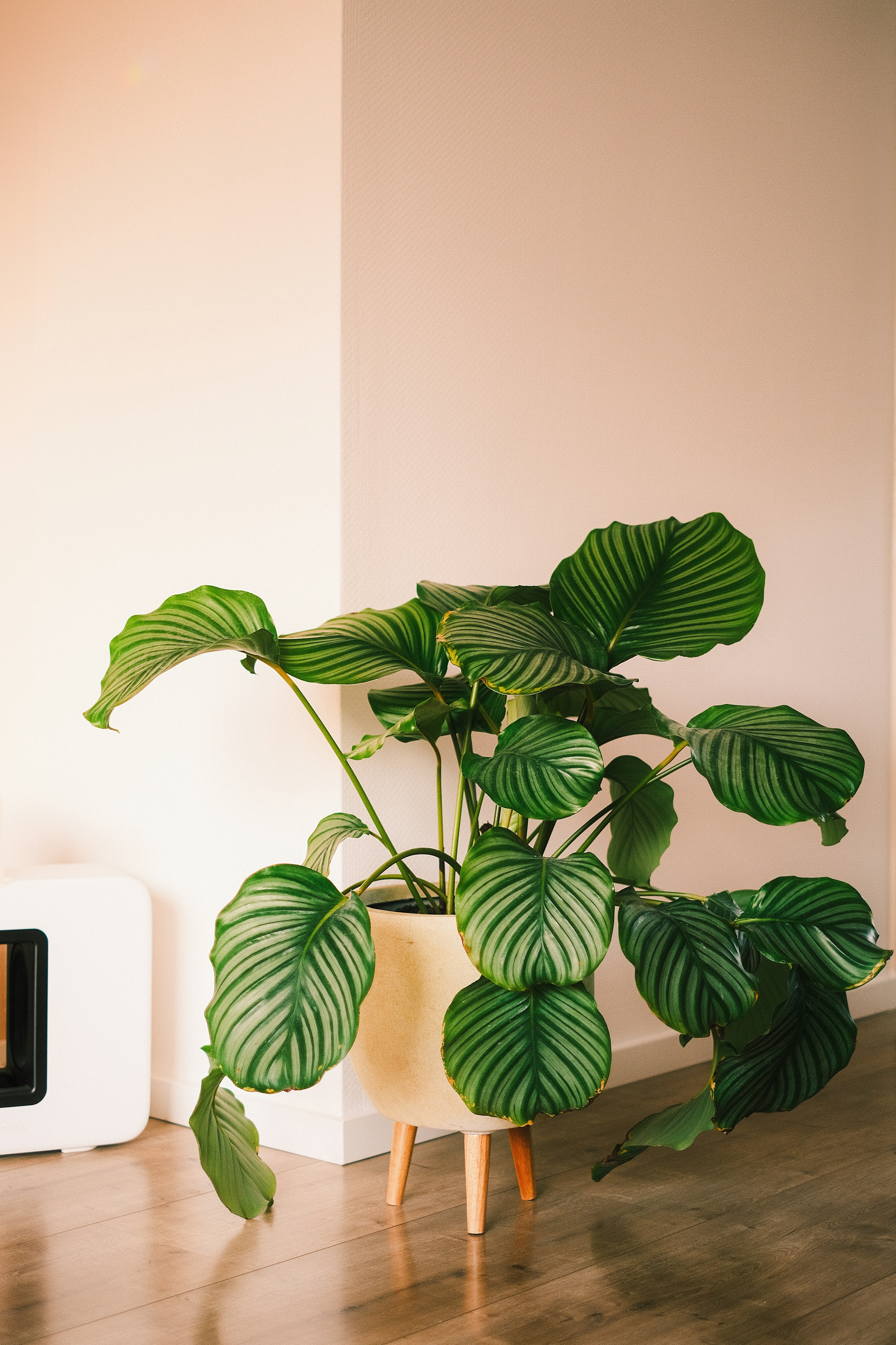 Photo by visualsbying