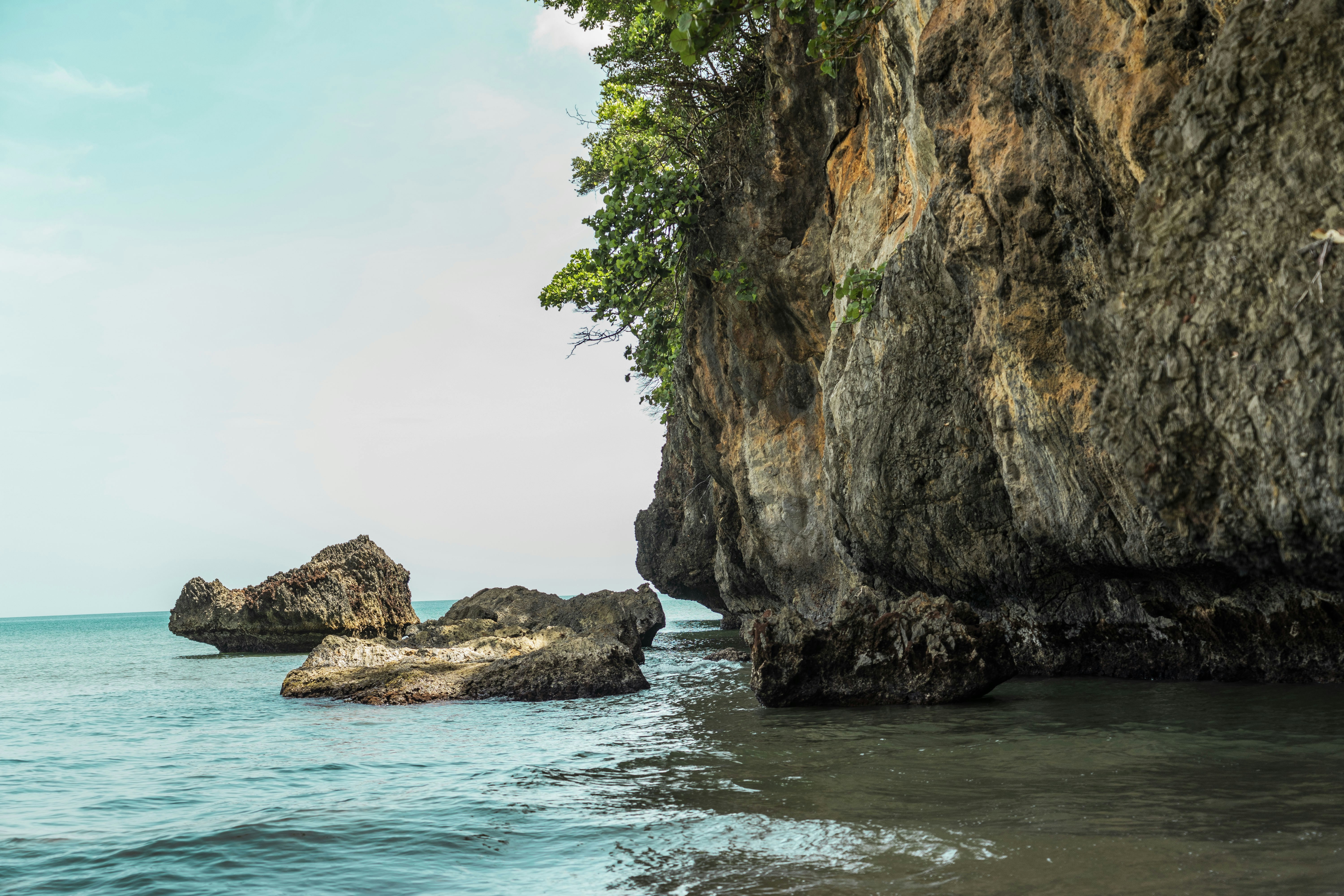 Photo by taravinesmith