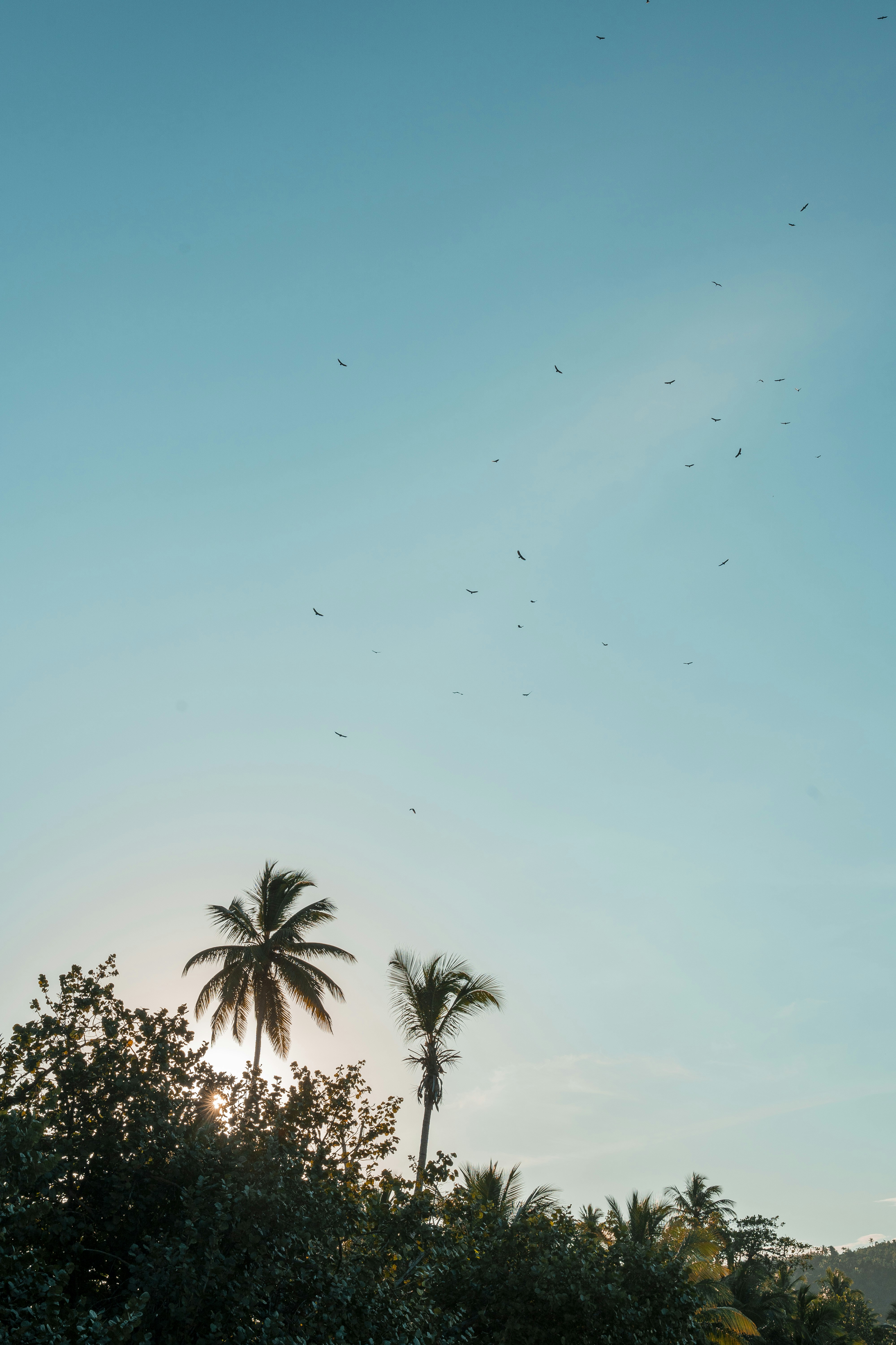 Photo by taravinesmith