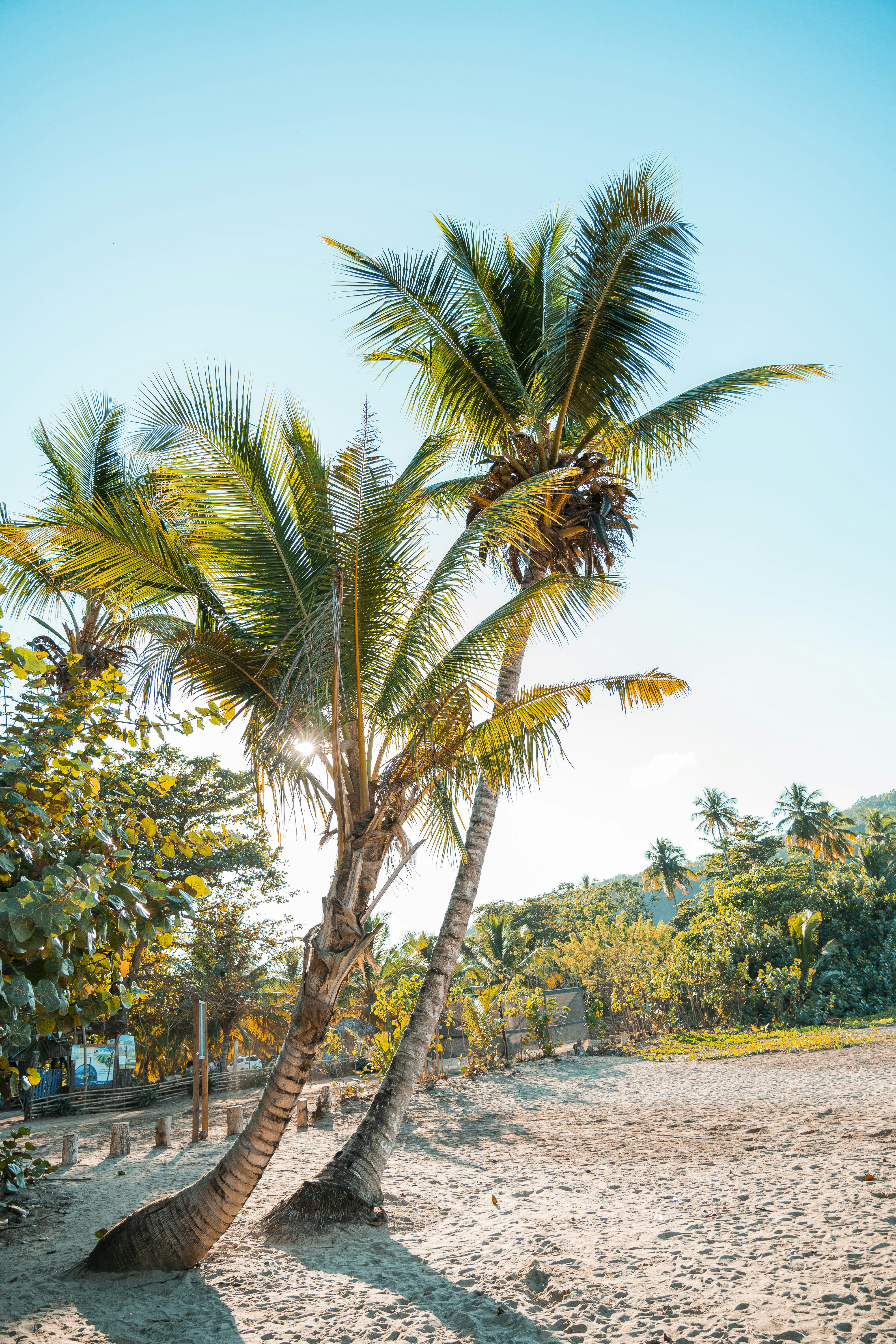 Photo by taravinesmith