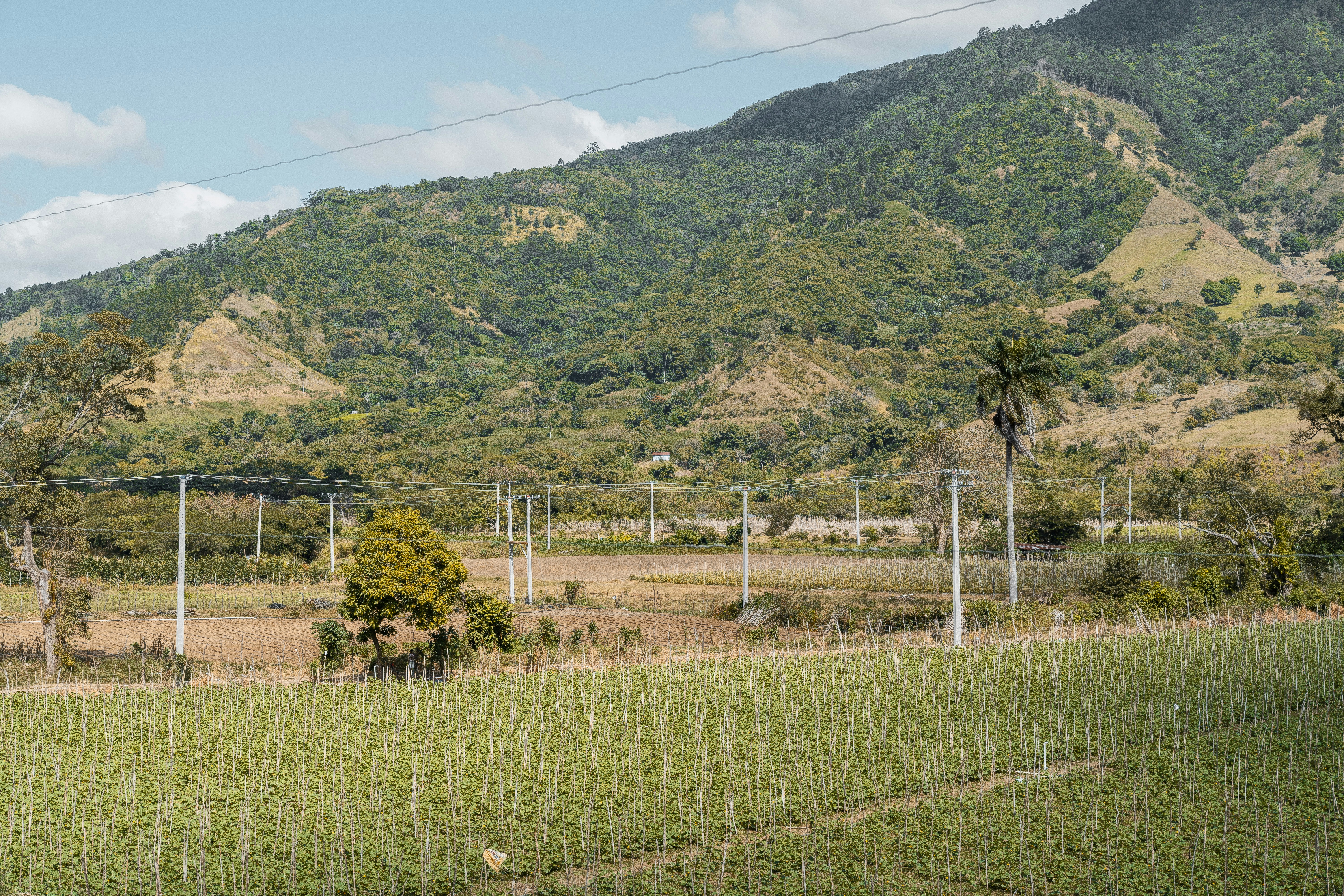 Photo by taravinesmith