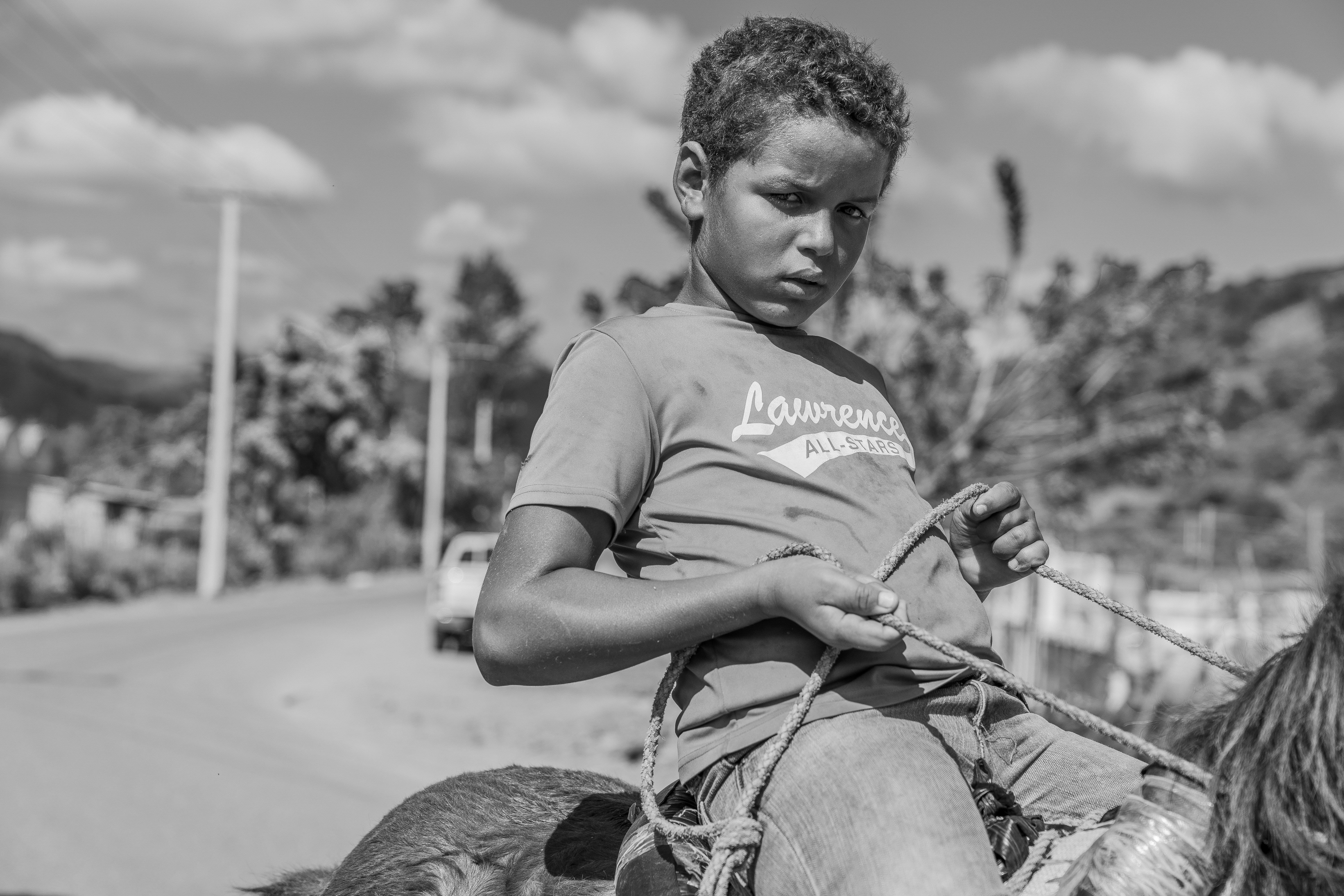 Photo by taravinesmith