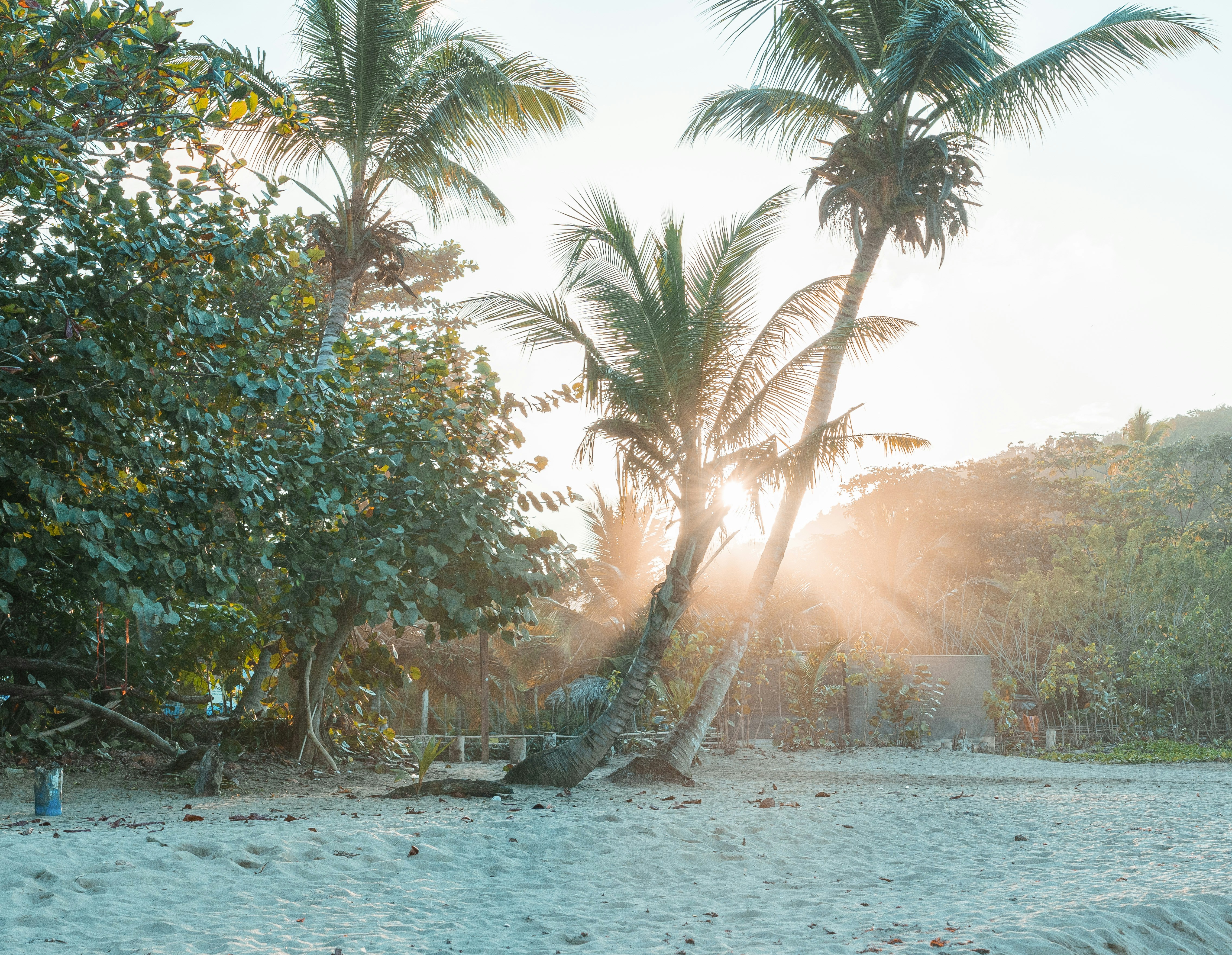 Photo by taravinesmith