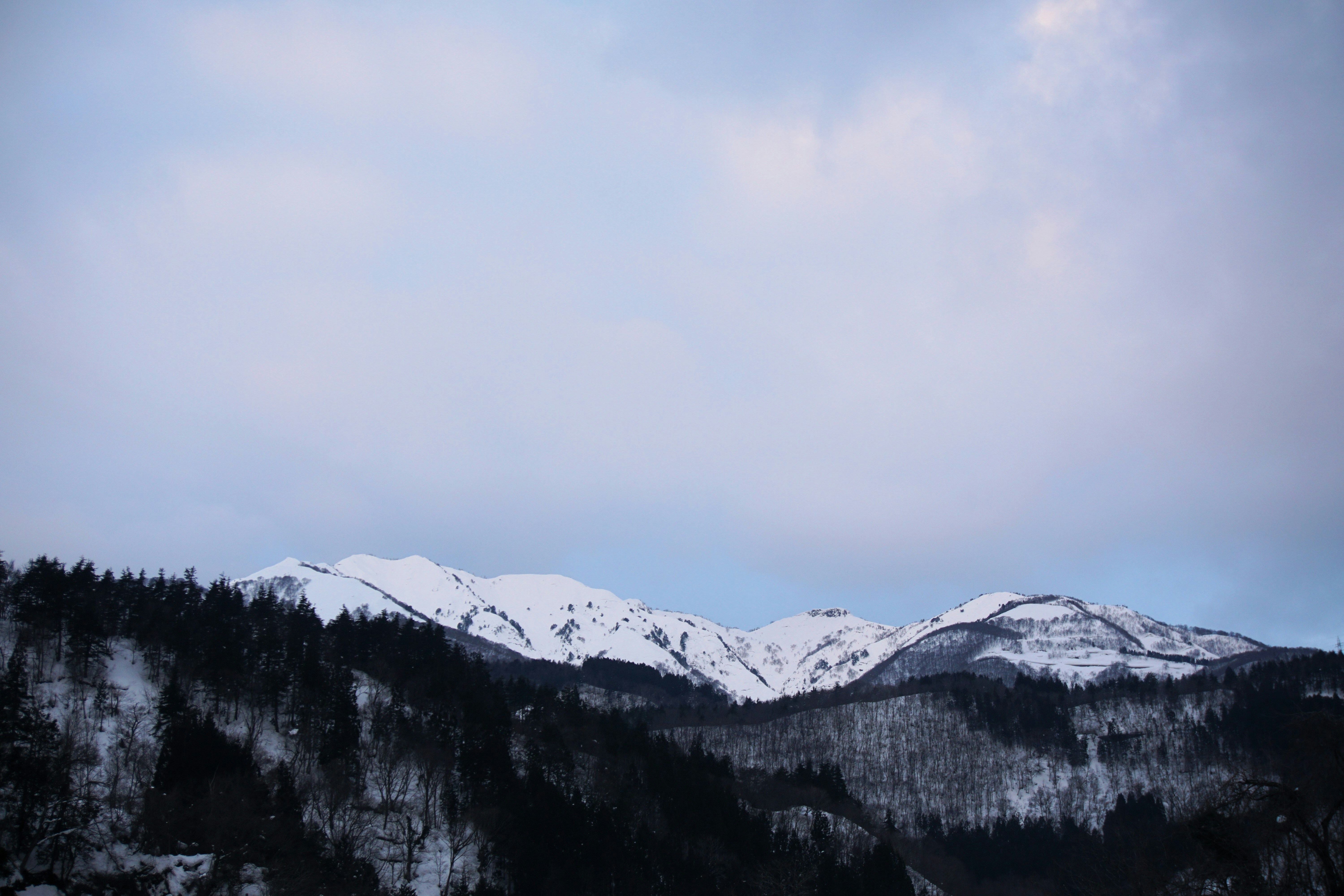 Photo by syadzasalsabyla