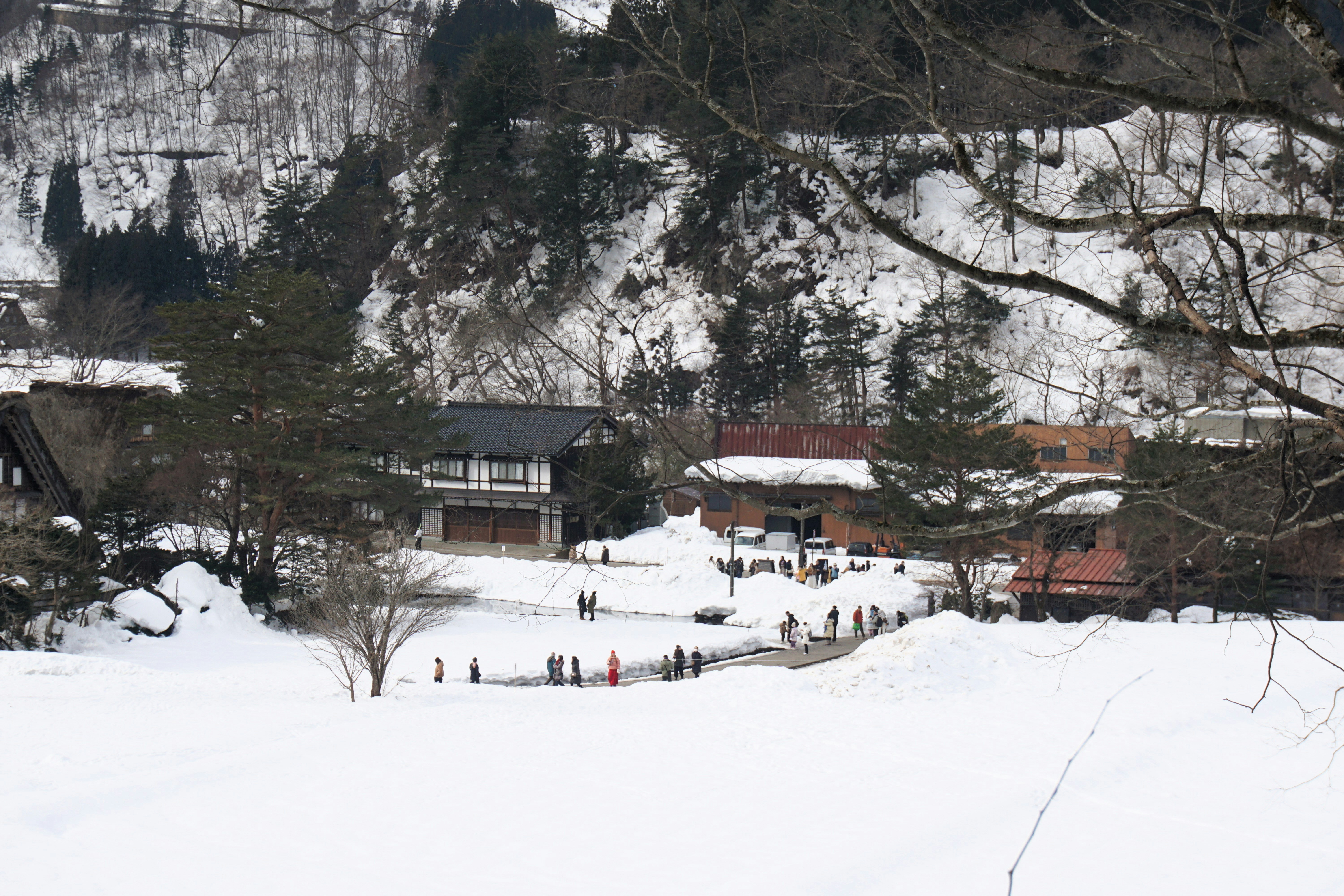 Accessible Snow Fun: New Year’s Escapes Near Tokyo & Kansai