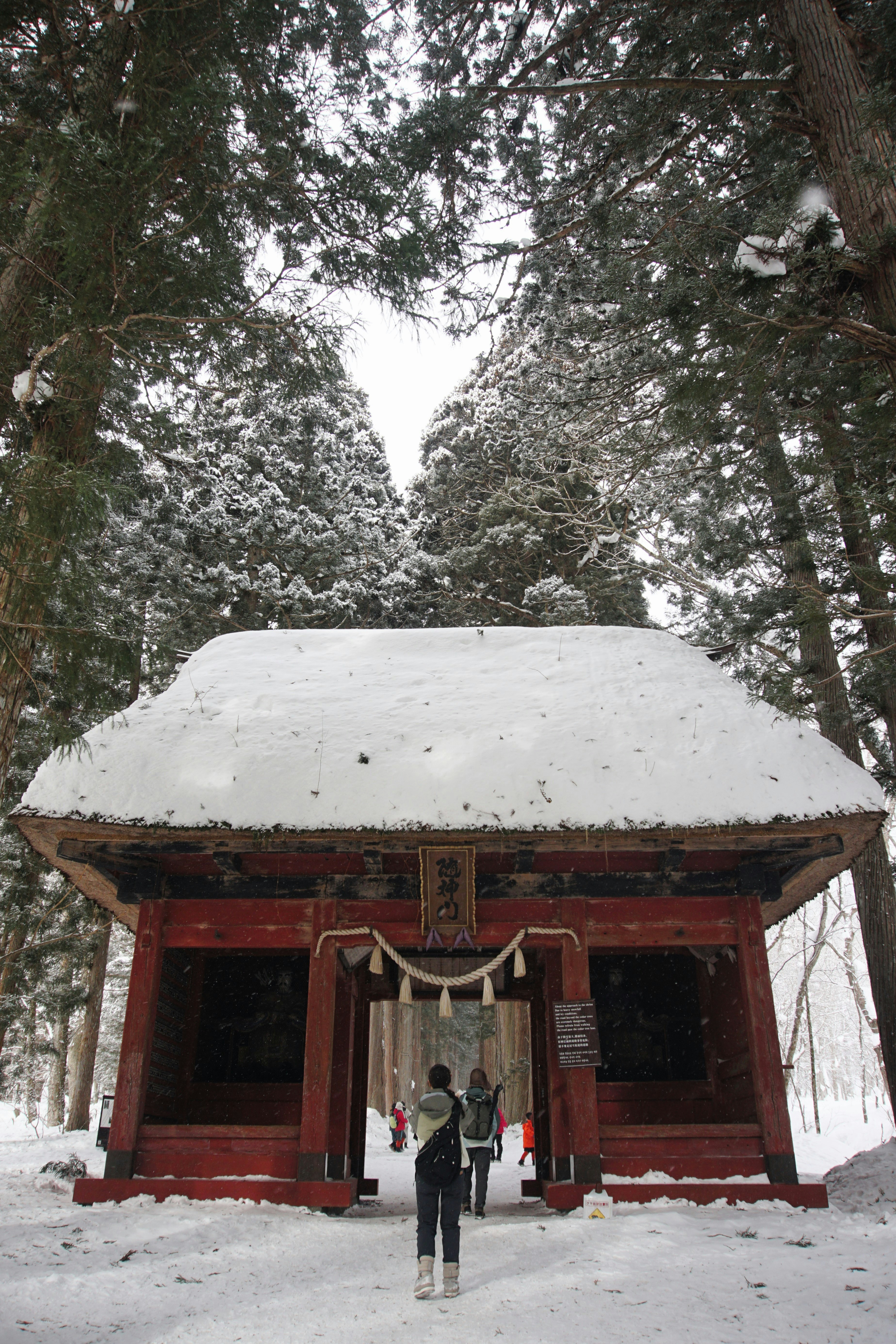 Nagano snowy forest scene