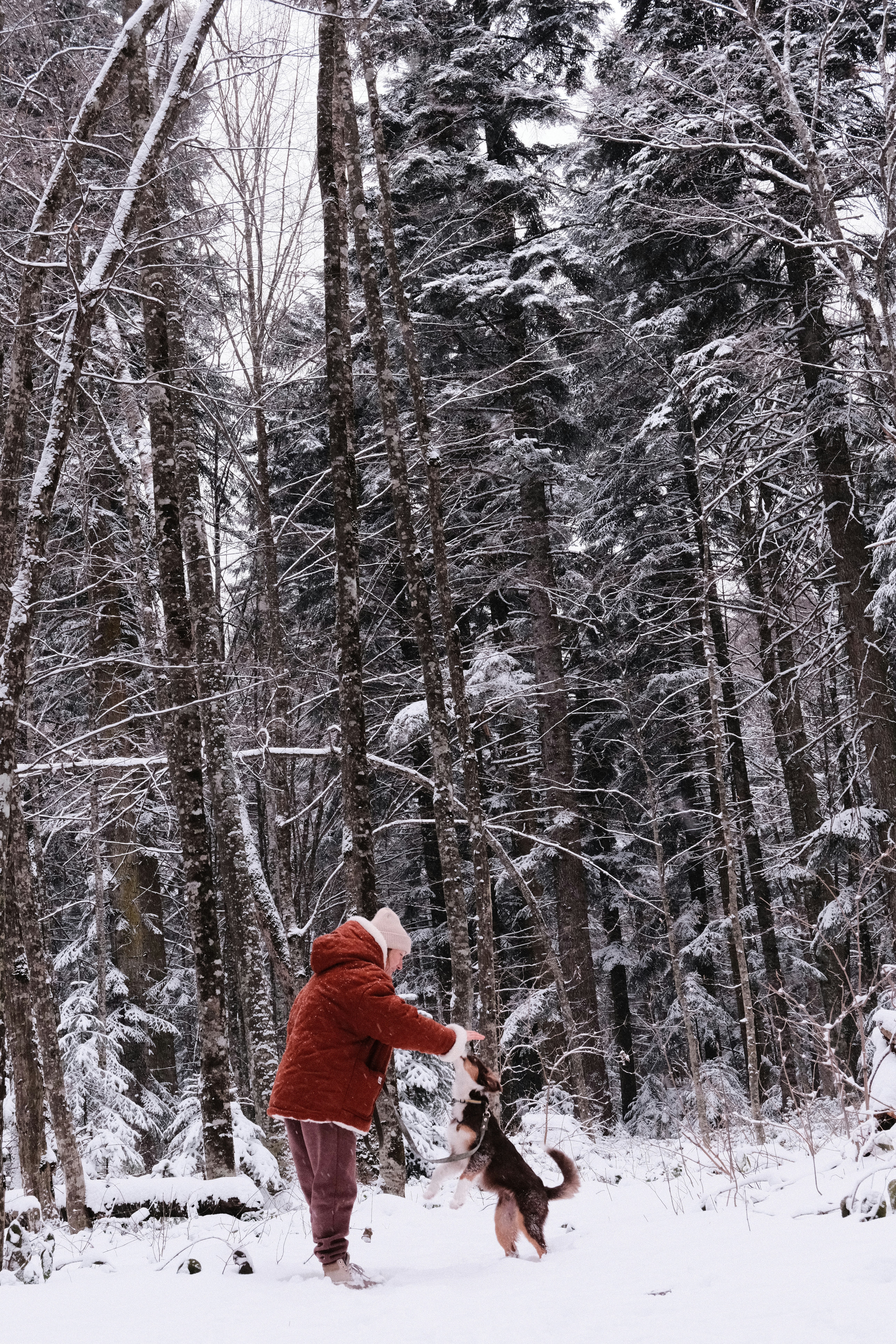 Photo by nikan_tanya