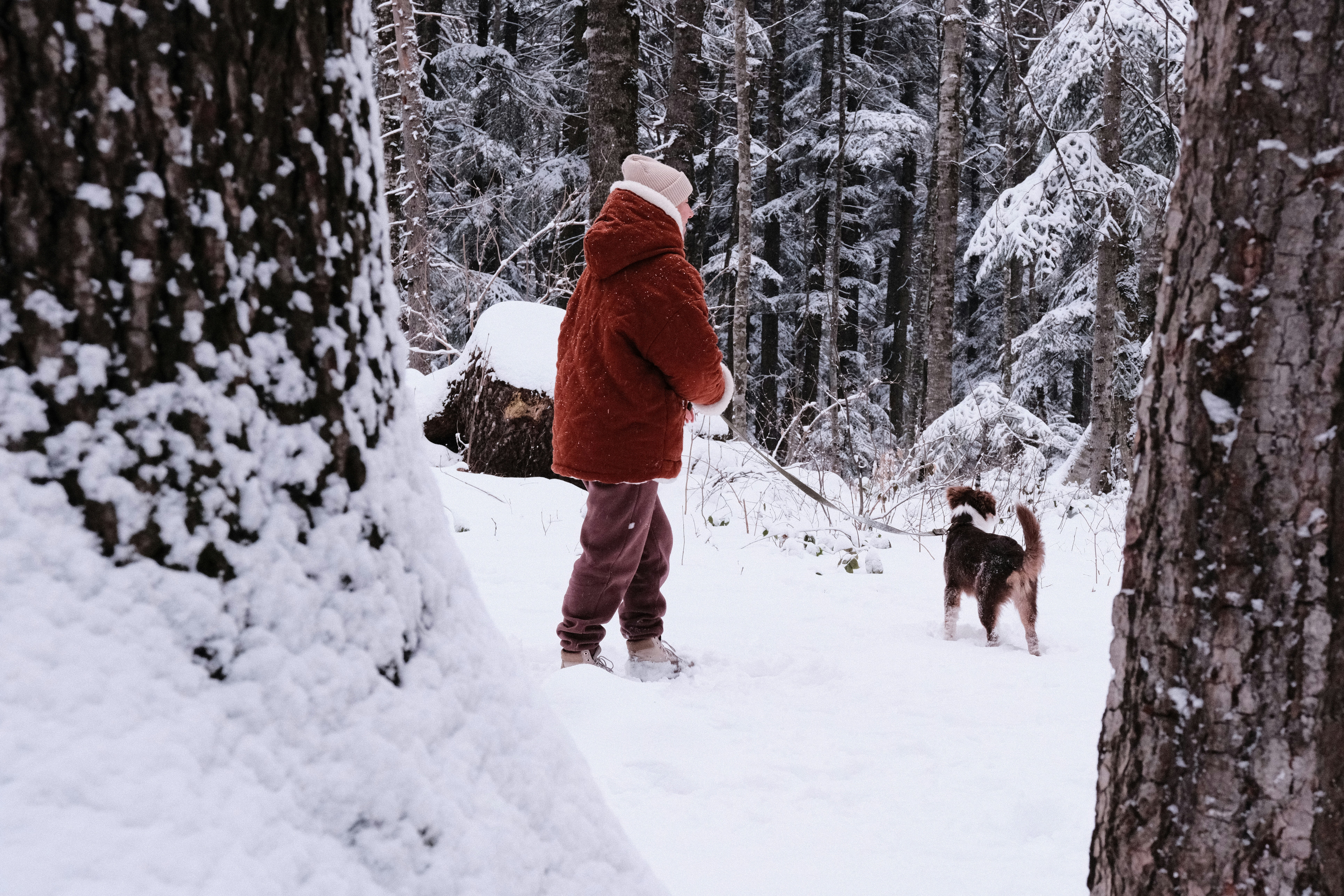 Photo by nikan_tanya