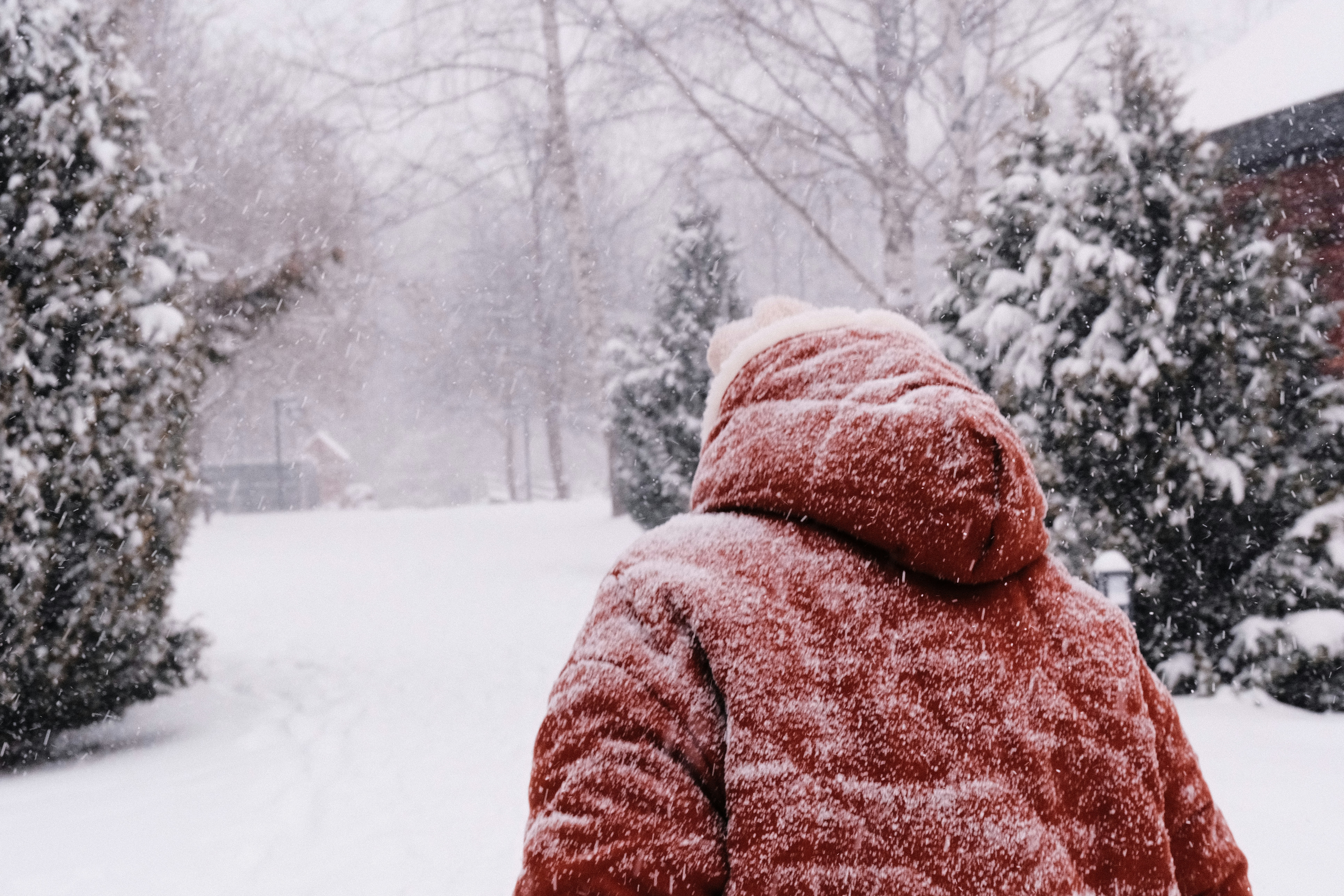 Photo by nikan_tanya