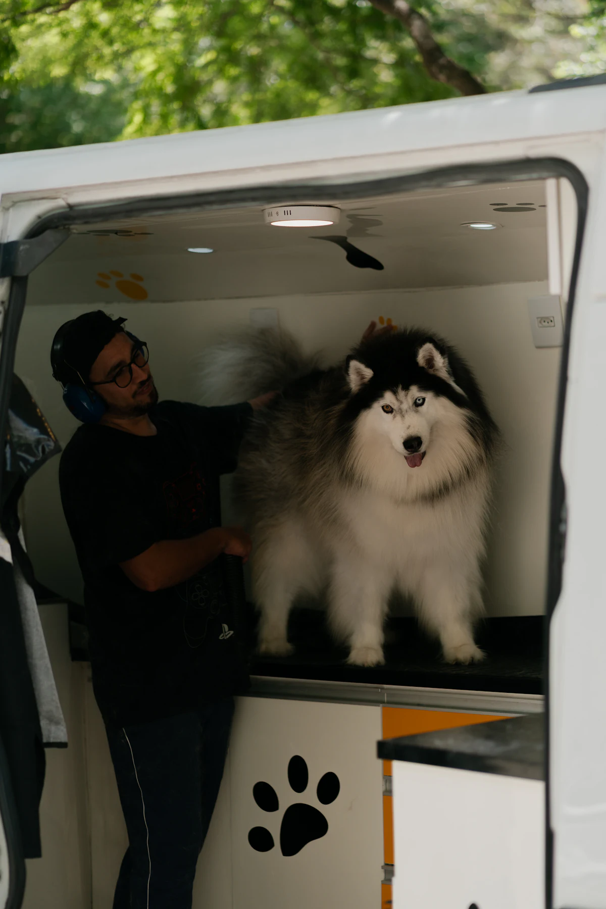 A mobile pet grooming van parked at the curb