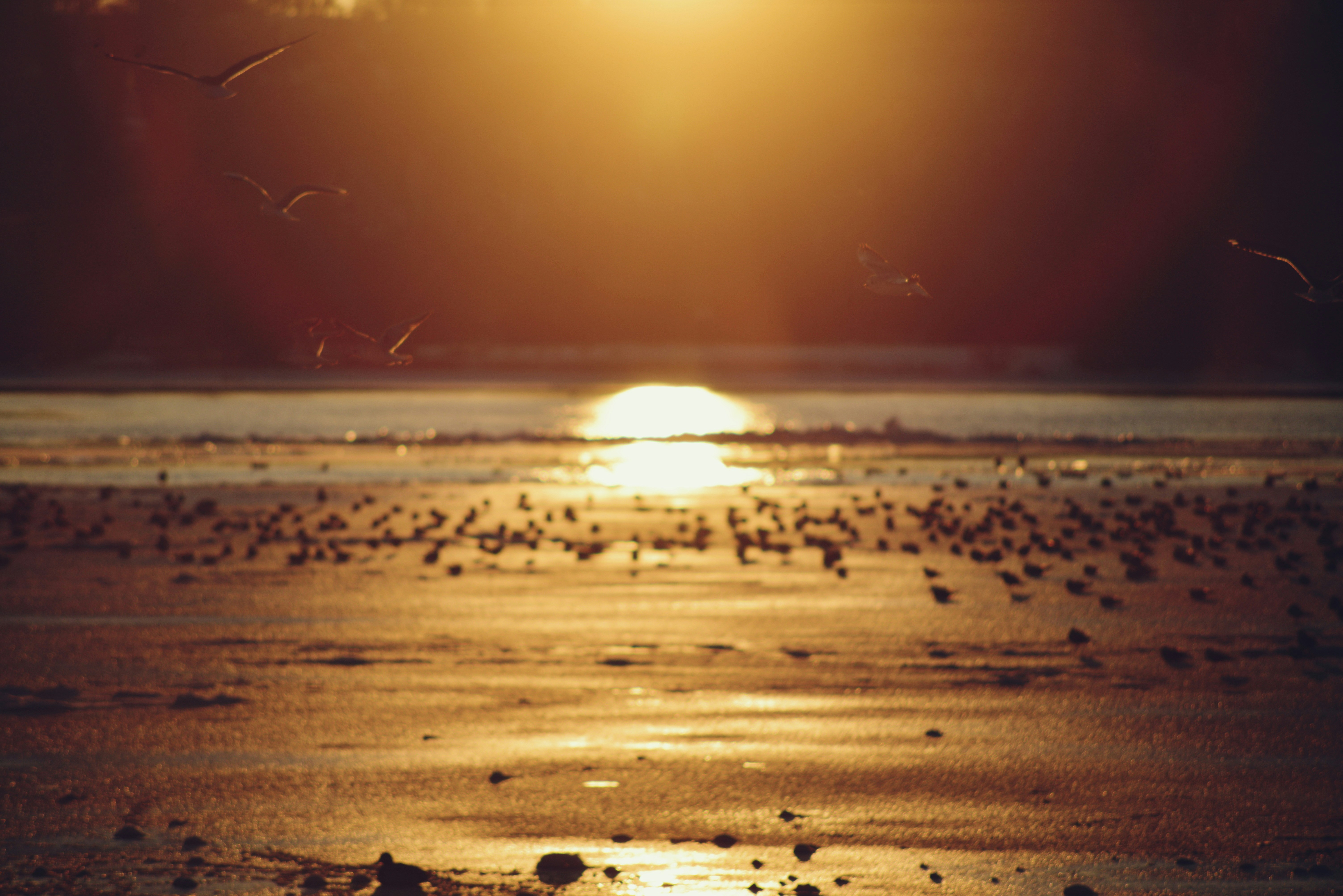 Photo by cherstve_pechivo