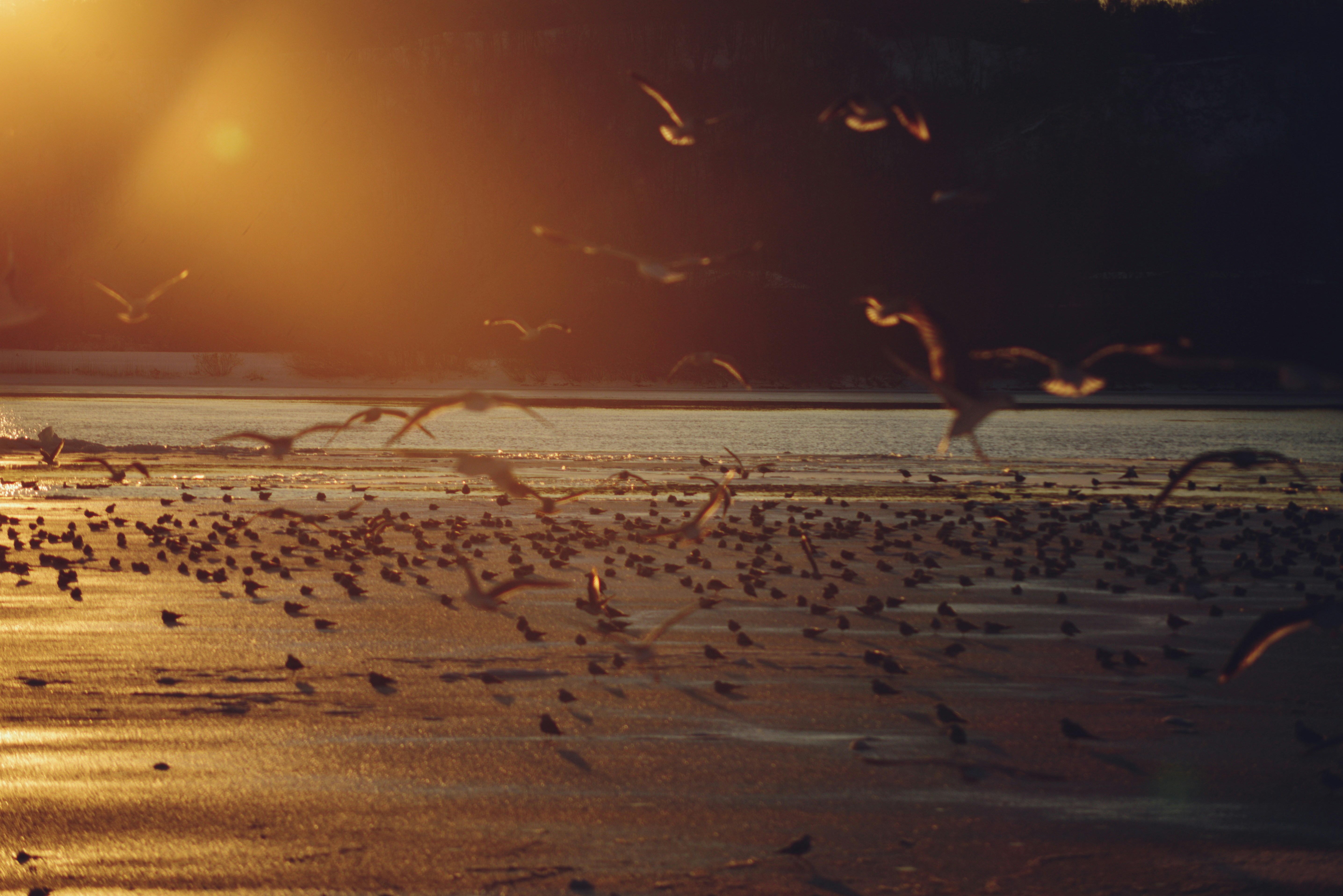 Photo by cherstve_pechivo