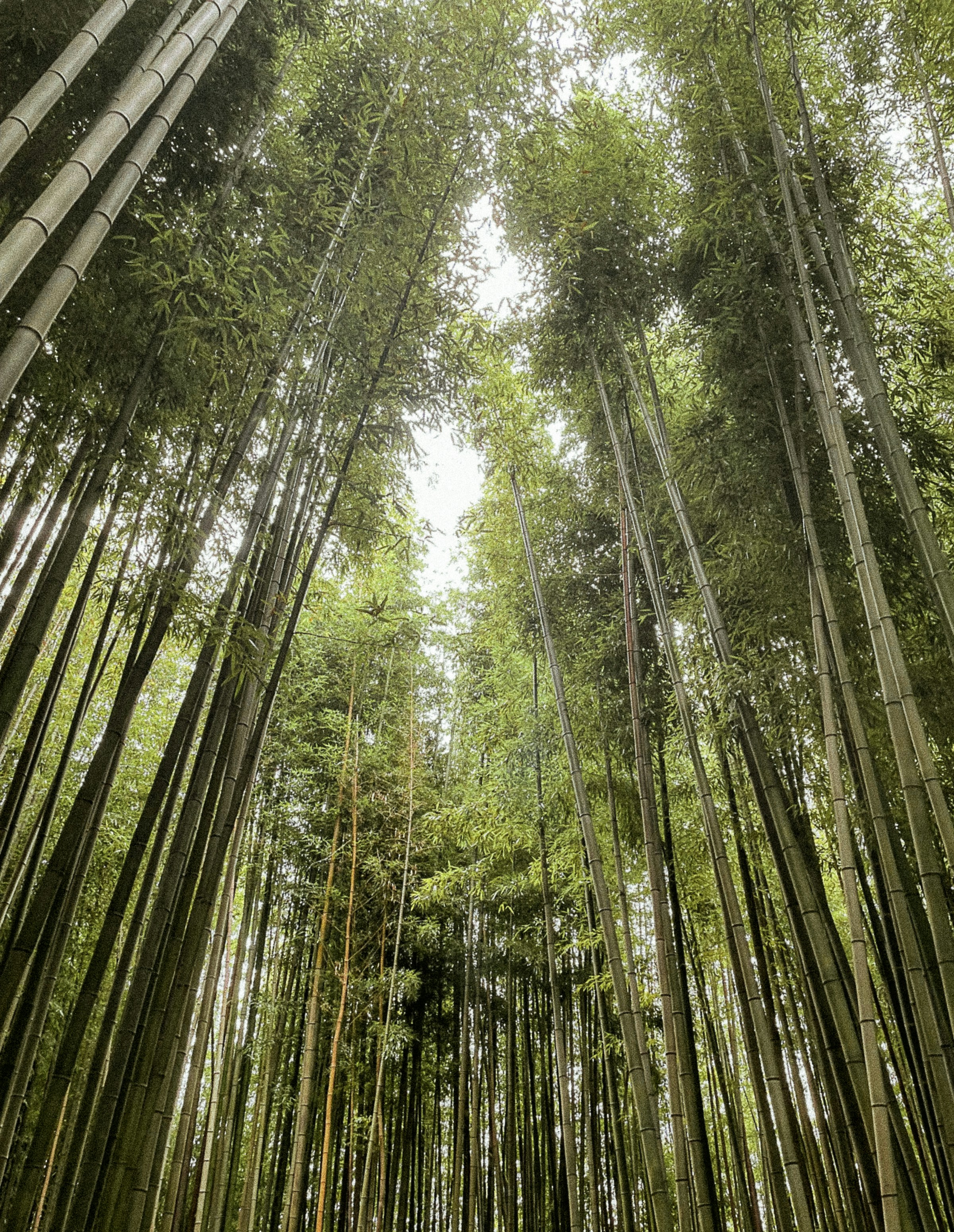 Photo by thingsneverchange