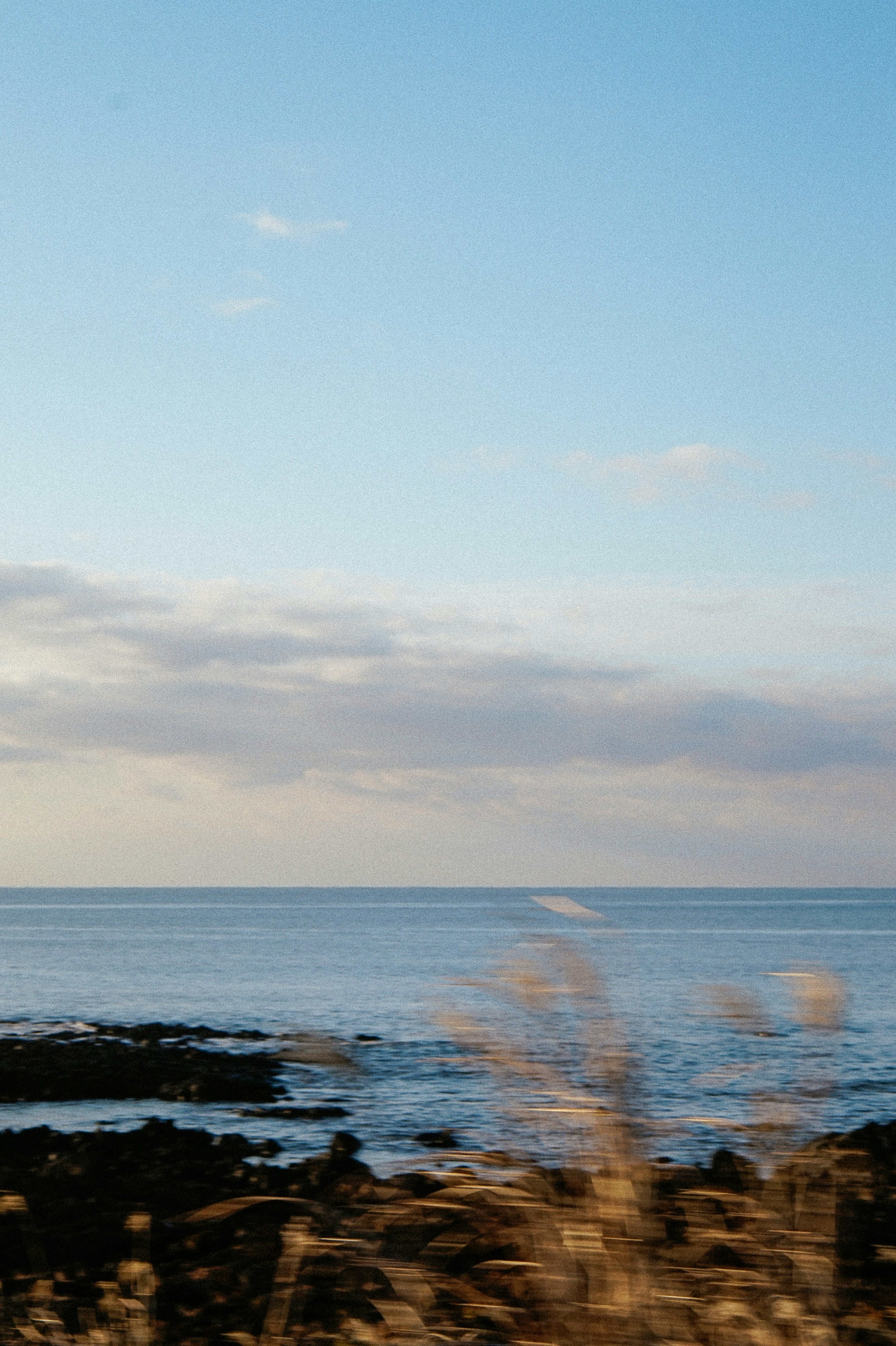 Photo by thingsneverchange