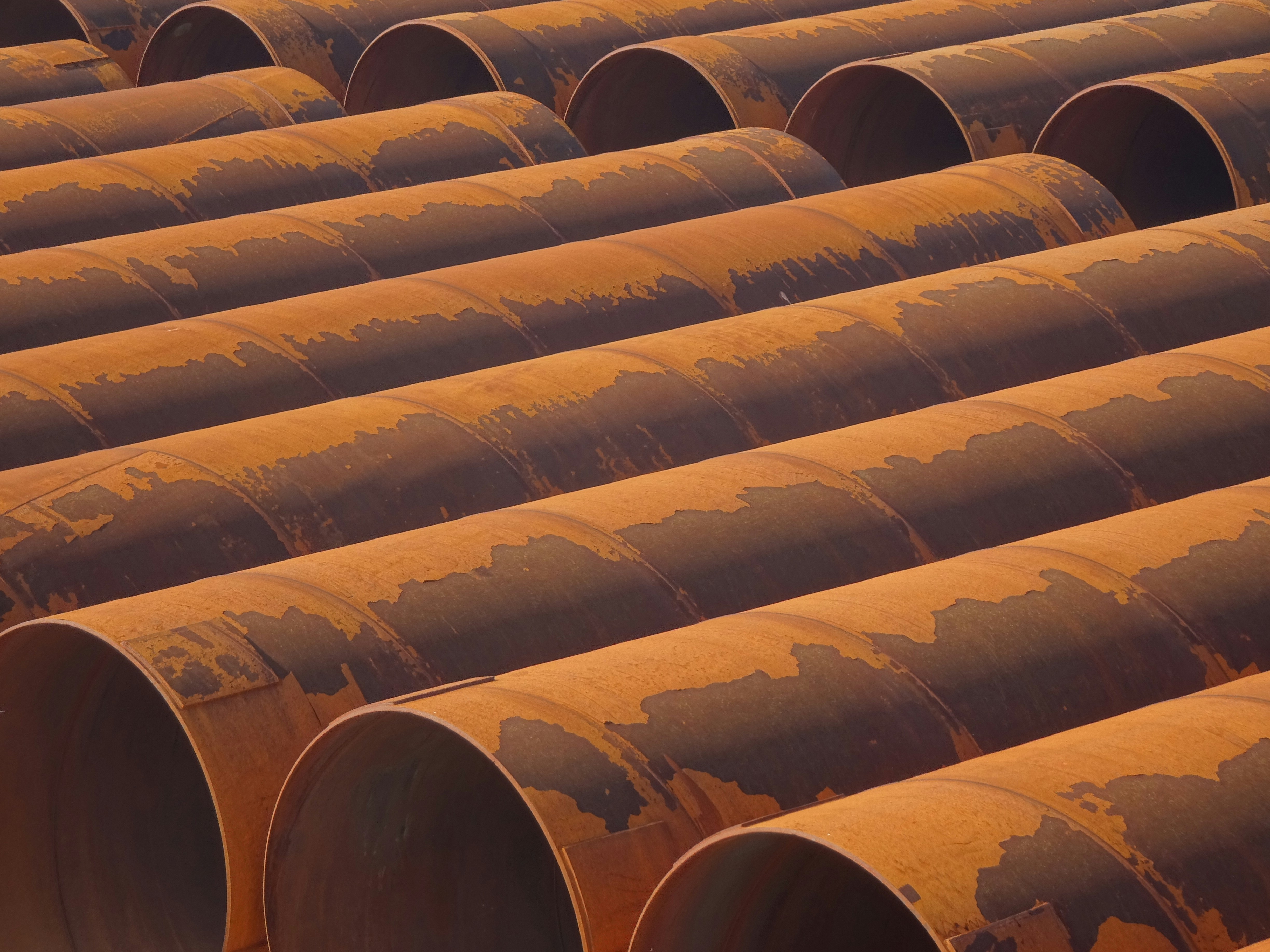 Photo by ludovico_06